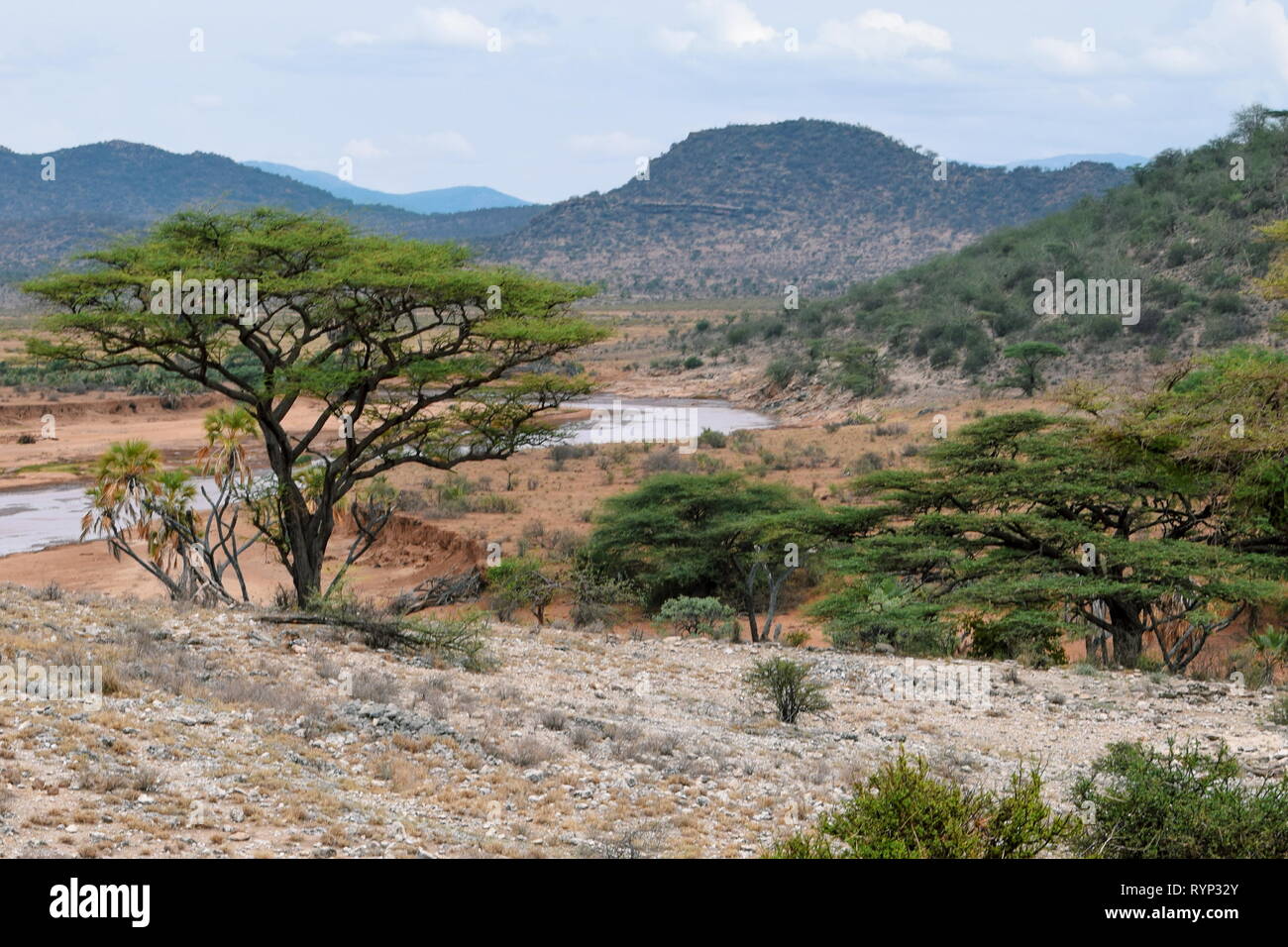 Ewaso Nyiro river in Samburu National Reserve, Kenya Stock Photo