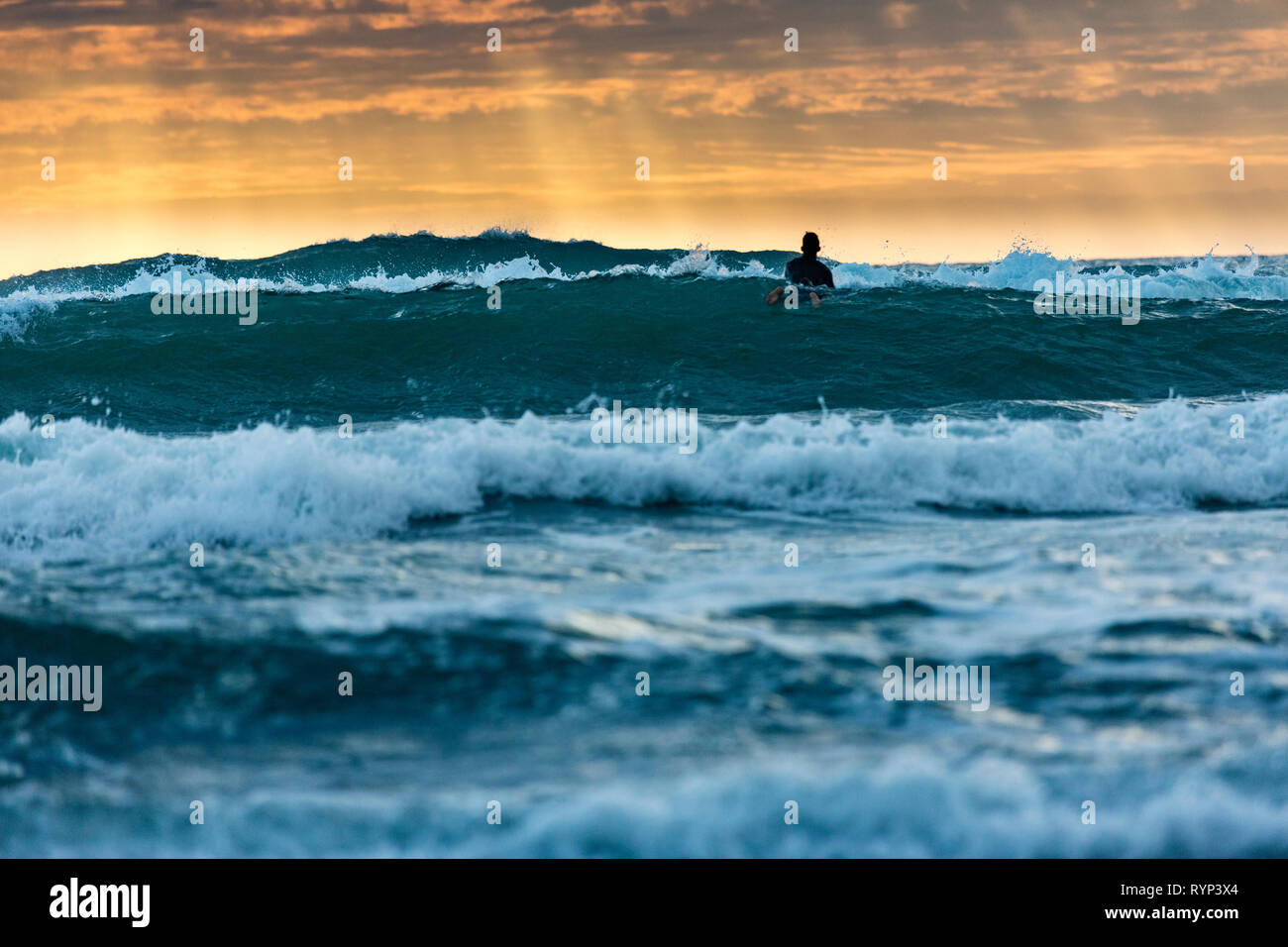 Surfer Standing At Piha Beach New Zealand Stock Photo 240816524