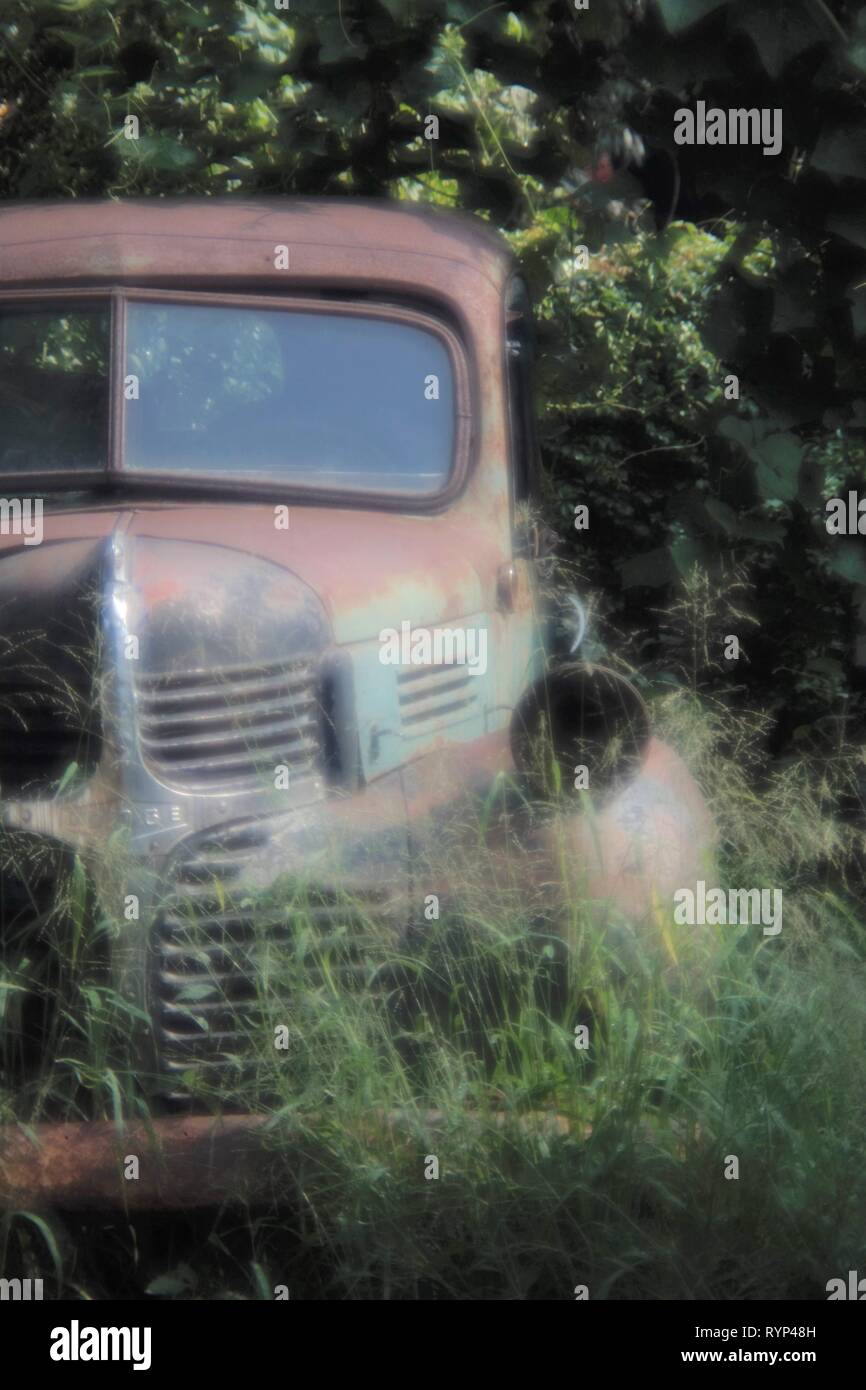 Abandoned truck, covered starting to get covered by the foliage Stock Photo