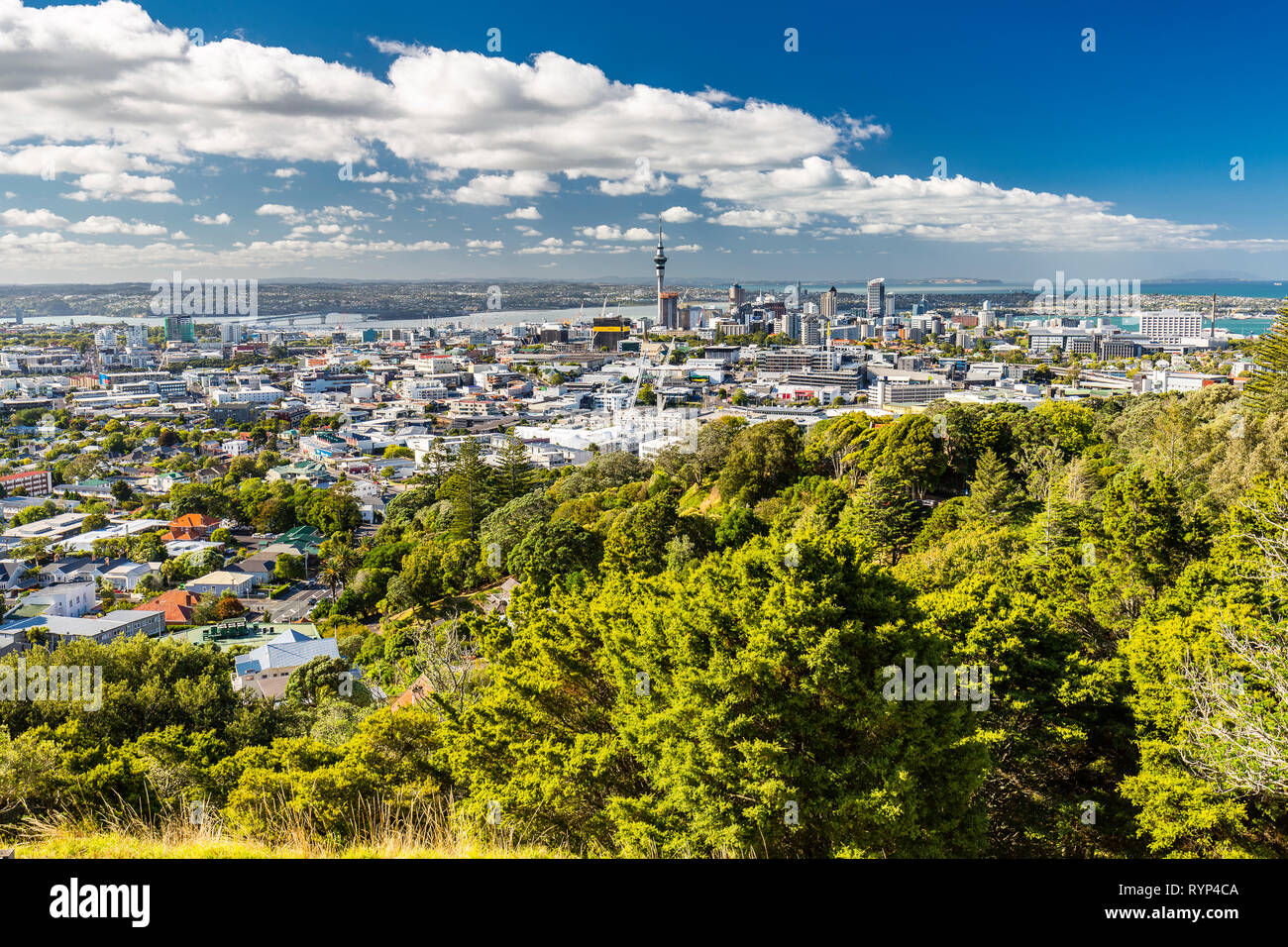 Mt Eden Volcanic Cones and View to Auckland City, New Zealand Stock Photo