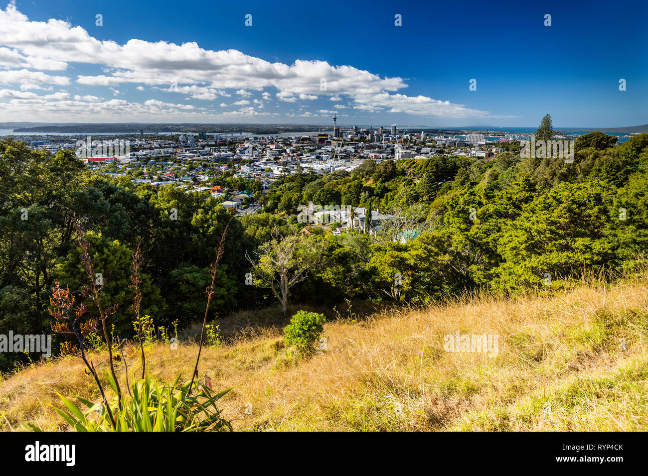 Mt Eden Volcanic Cones and View to Auckland City, New Zealand Stock Photo