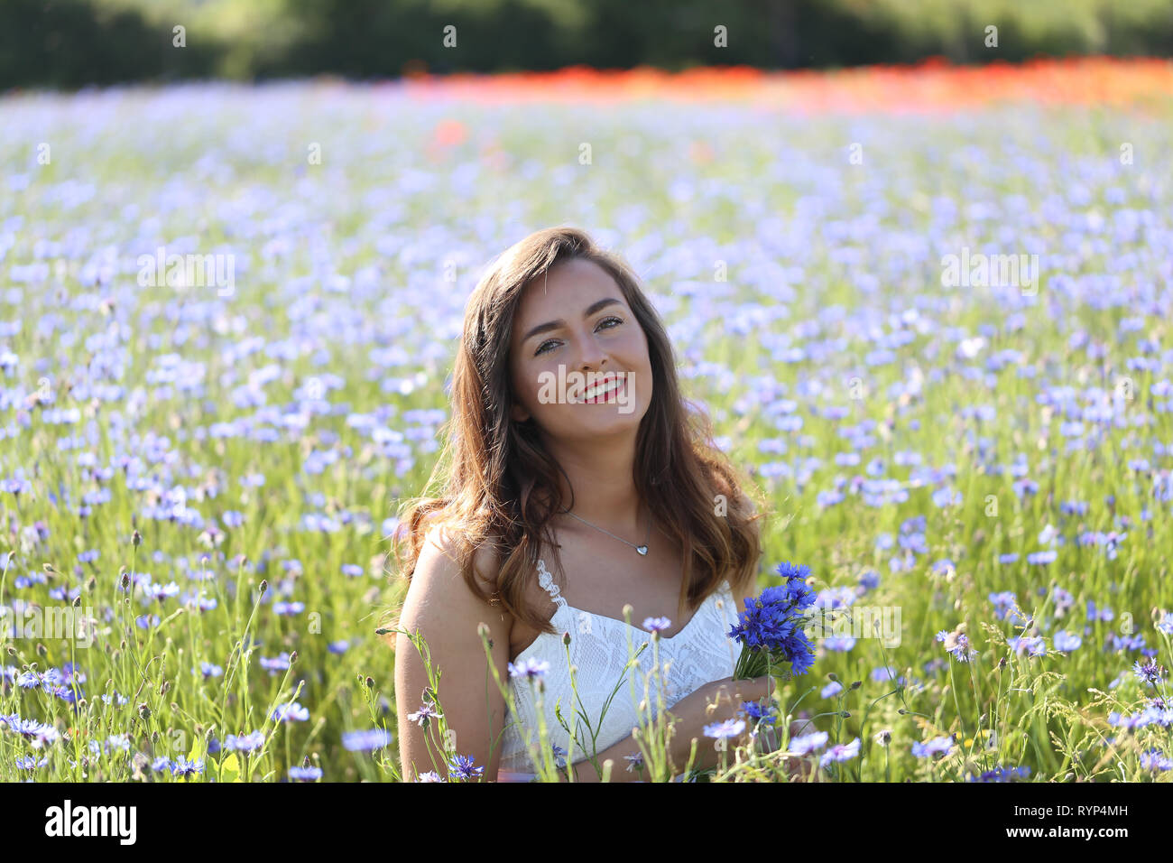 Portrait of a young girl on cornflower blue field Stock Photo Alamy