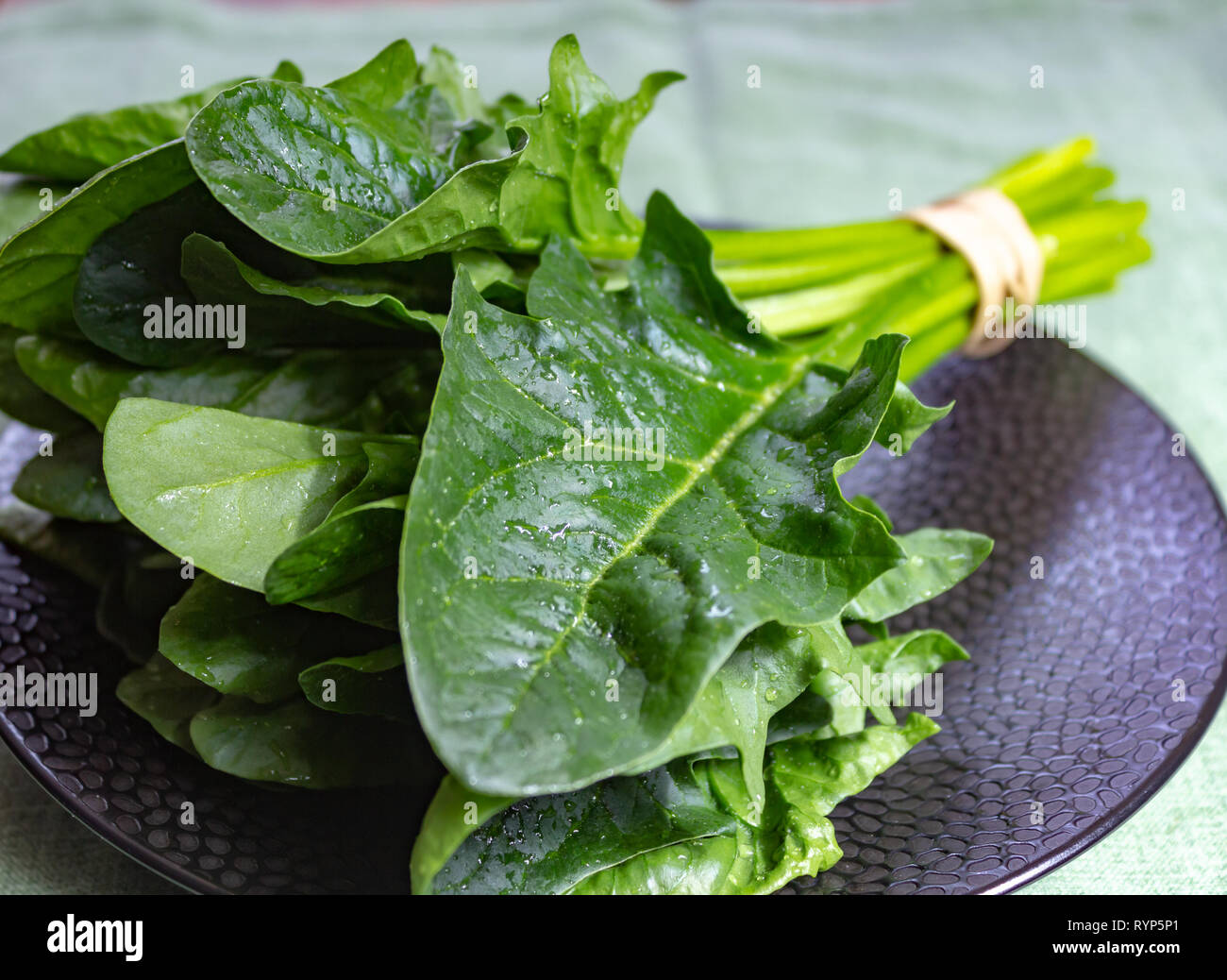 Bunch of green fresh organic spinach leaves close up Stock Photo - Alamy