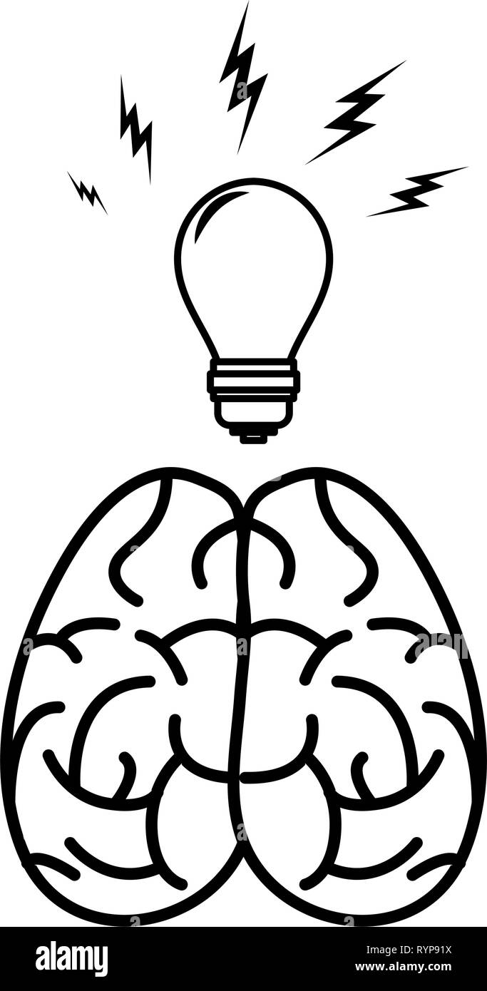human brain bulb creativity on white background vector illustration ...