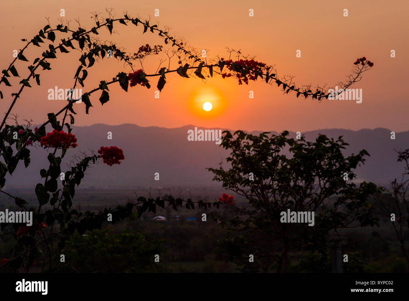 Sunset at Red Mountain winery near Inle Lake, Myanmar Stock Photo