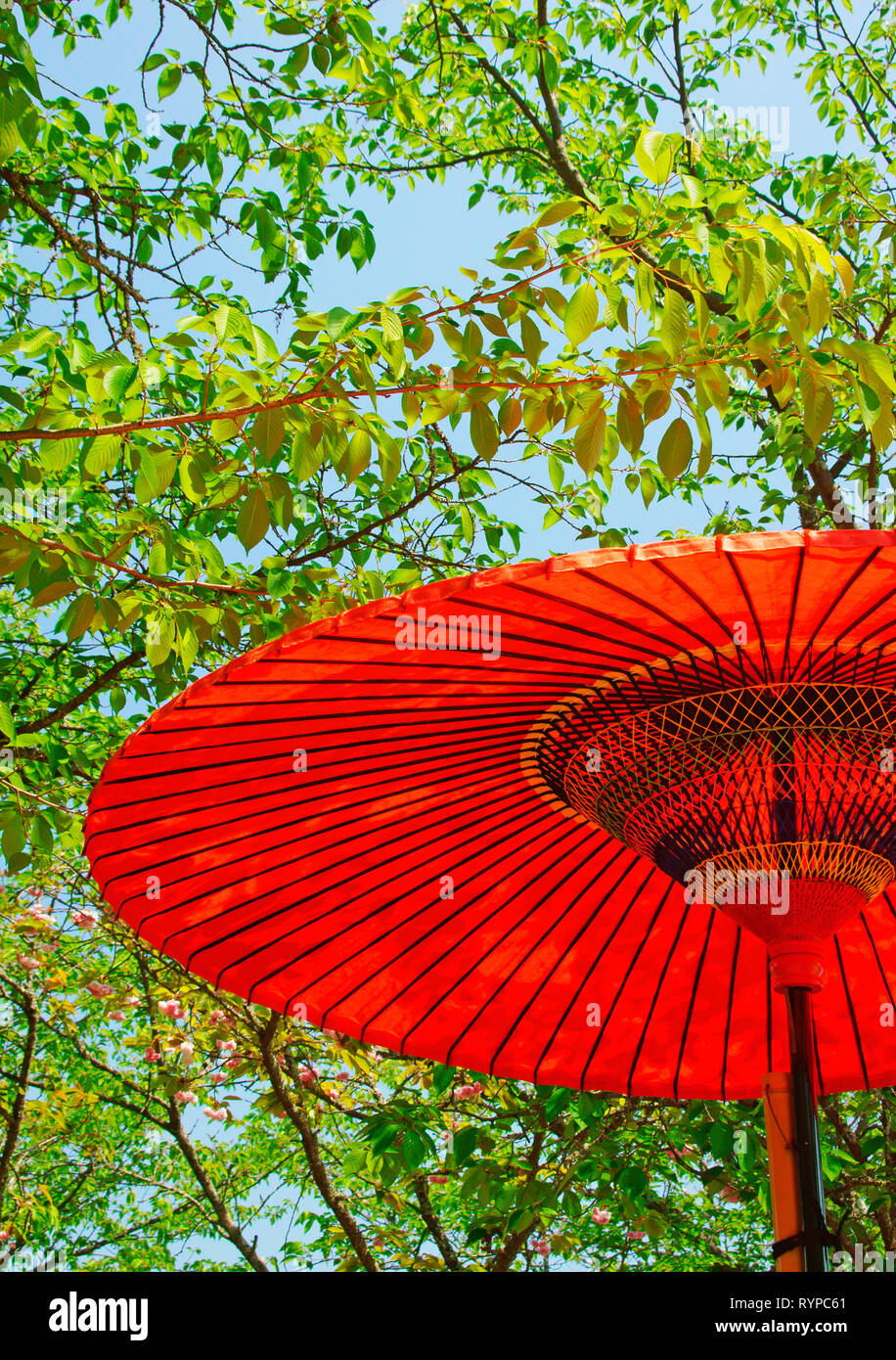 Japanese style umbrella hi-res stock photography and images - Alamy