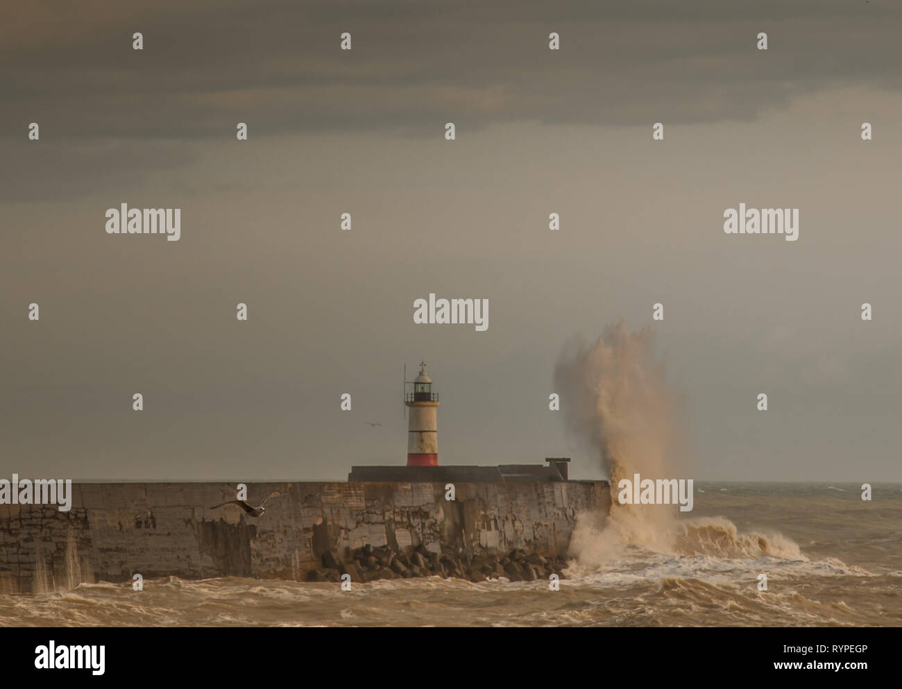 Newhaven, East Sussex, UK. 14th Mar, 2019. Still windy along the South coast as Gareth moves away. A most pleasant afternoon with bright spells & relatively warm at 9 degrees. Stormy conditions expected to return over the weekend. Stock Photo