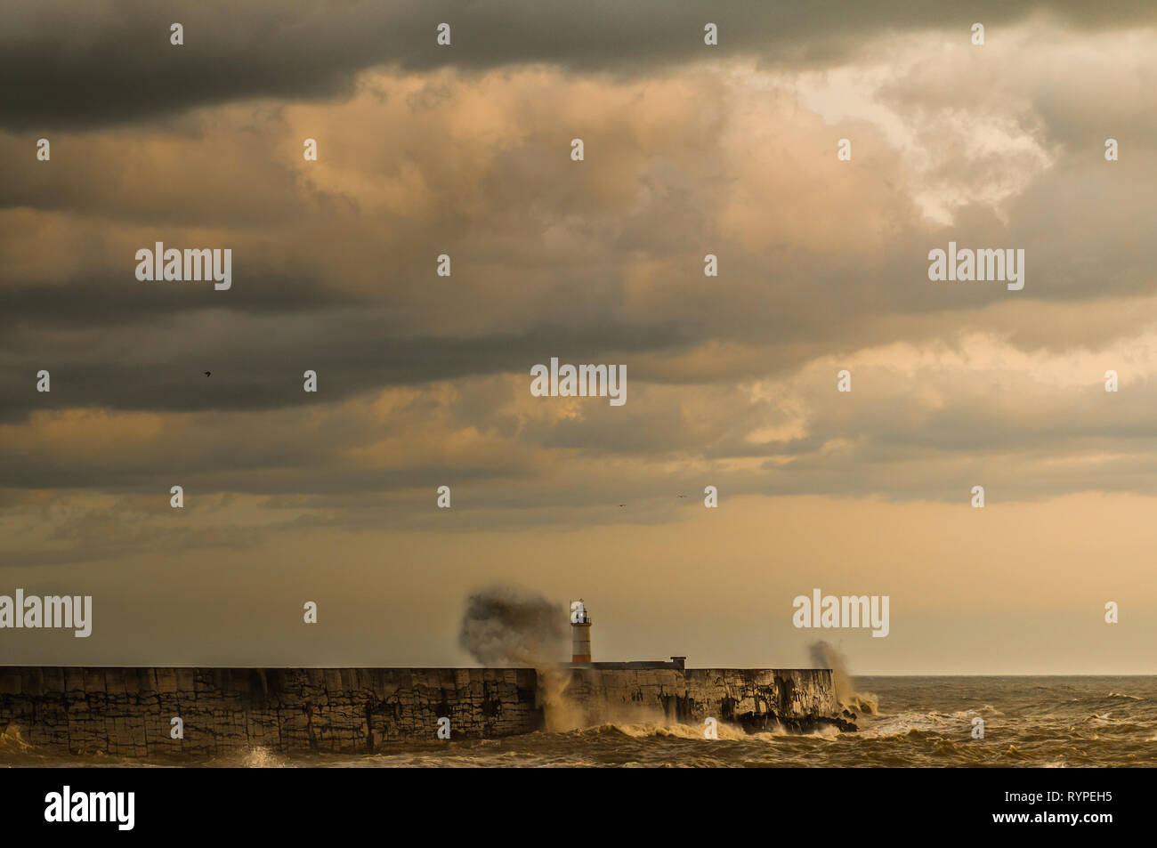 Newhaven, East Sussex, UK. 14th Mar, 2019. Still windy along the South coast as Gareth moves away. A most pleasant afternoon with bright spells & relatively warm at 9 degrees. Stormy conditions expected to return over the weekend. Stock Photo