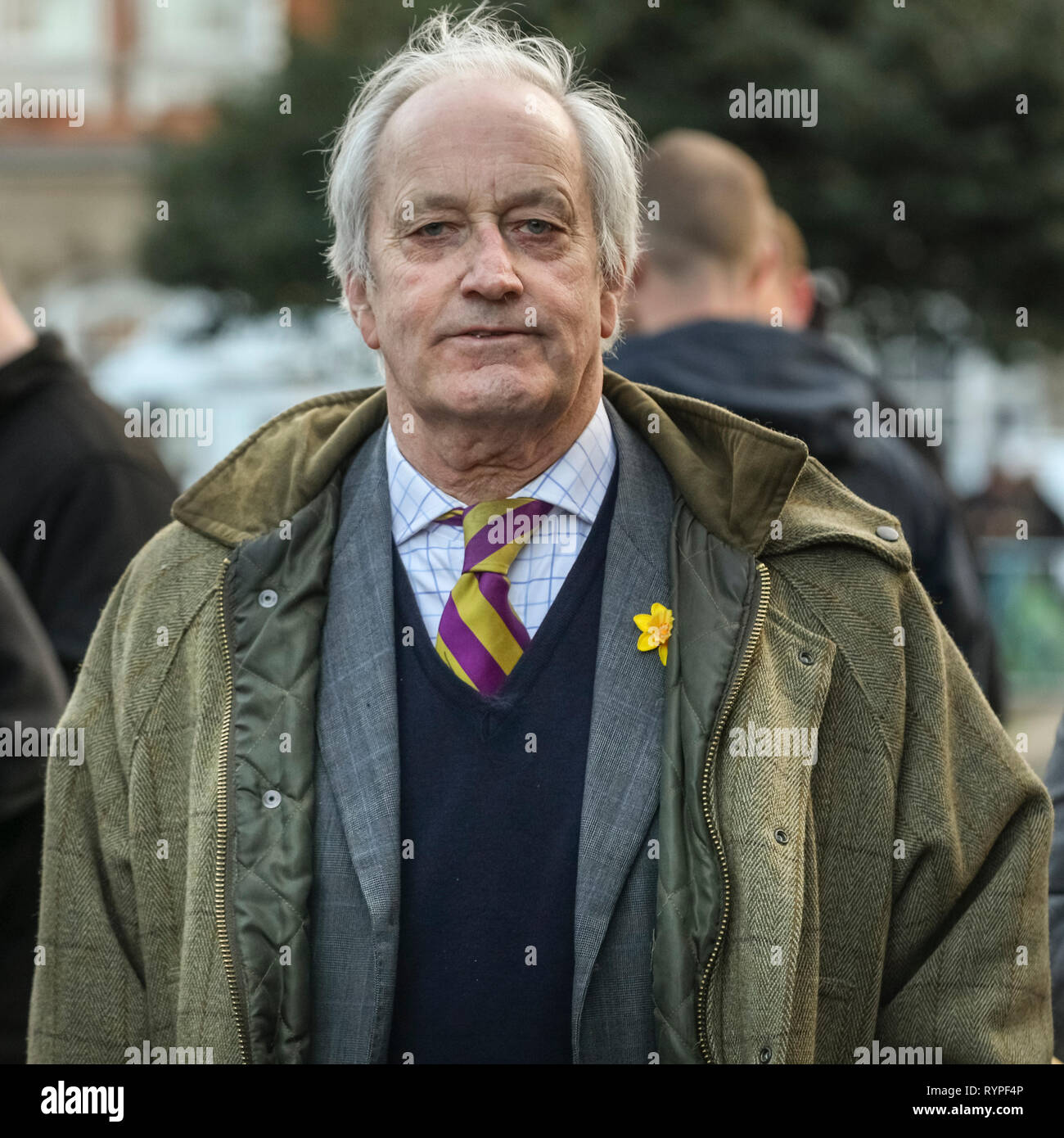 Westminster, London, UK. 14th Mar, 2019. Neil Hamilton, Leader of the UK Independence Party (UKIP) in Wales Credit: Imageplotter/Alamy Live News Stock Photo
