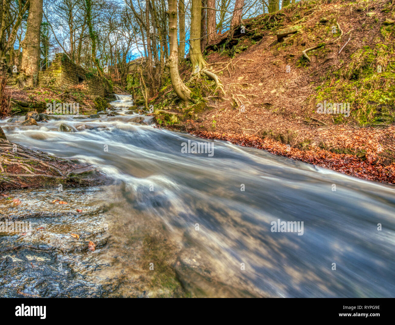 Bentley Brook, Lumsdale Valley, Matlock, Derbyshire, UK. 14th March, 2019. UK Weather high water levels at Bentley Brook in the Lumsdale Valley perfect for spectacular slow stutter speed HDR Photography. Credit: Doug Blane/Alamy Live News Stock Photo