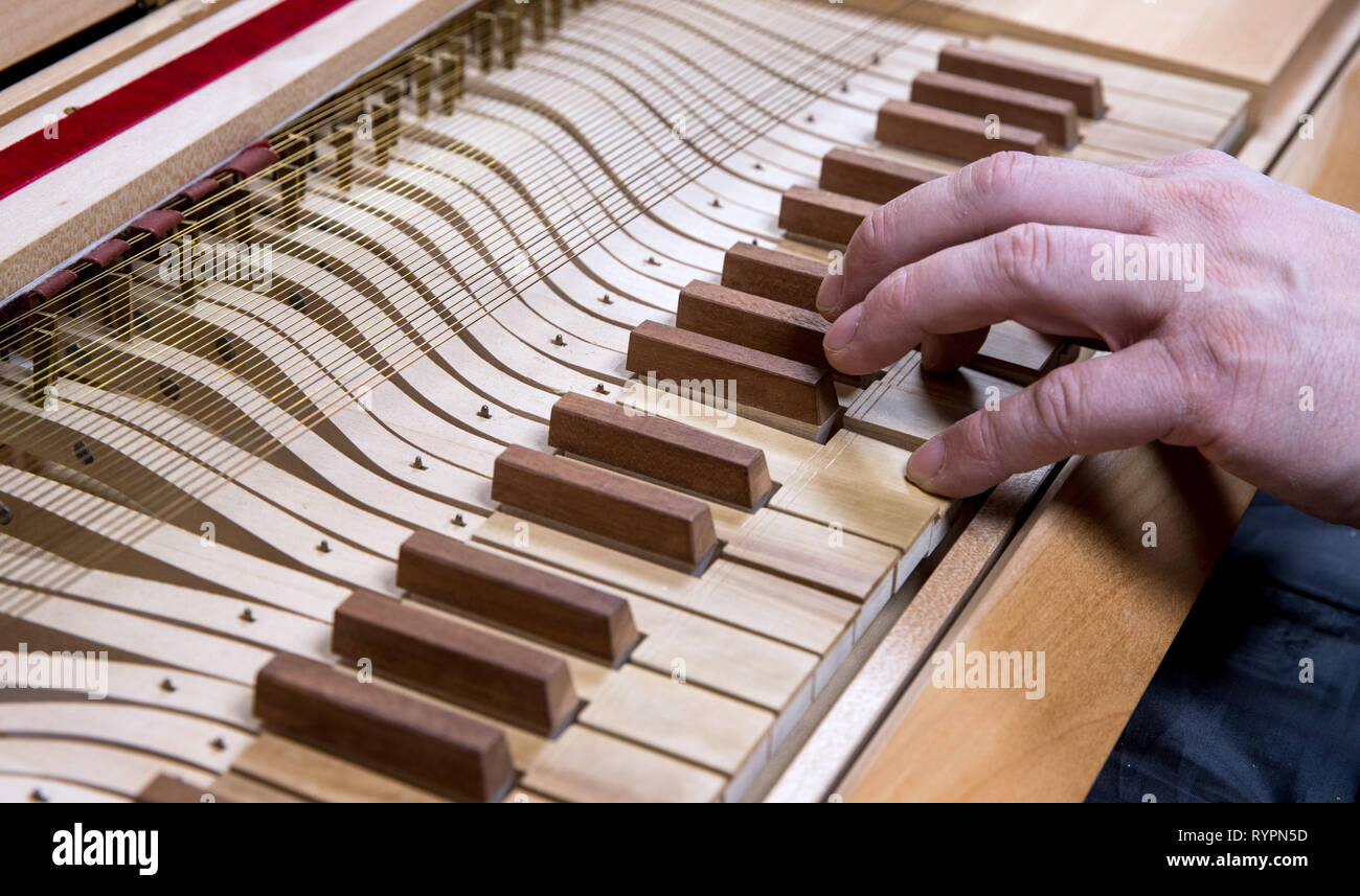 Rostock, Germany. 21st Feb, 2019. JohannGottfried Schmidt plays a