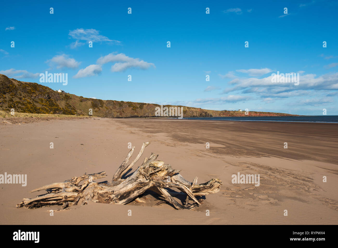 St Cyrus beach, Aberdeenshire, Scotland. Stock Photo