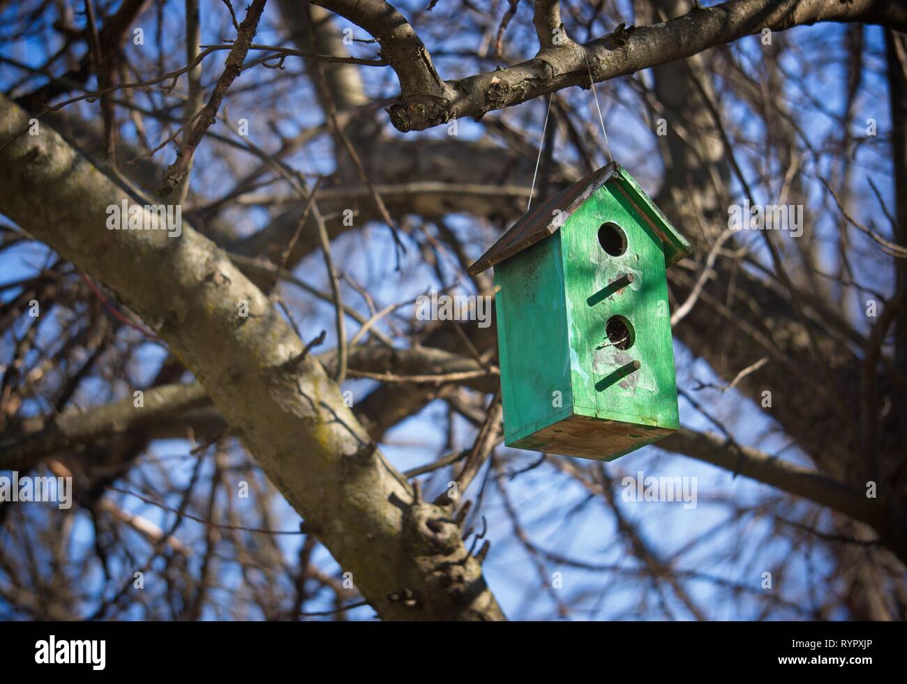A blue bird house Stock Photo - Alamy