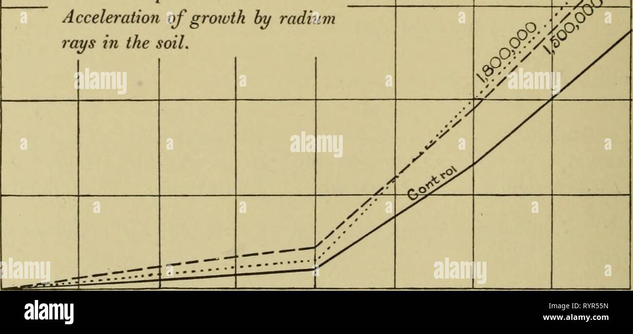 Effects of the rays of Effects of the rays of radium on plants . effectsofraysofr1908gage Year: 1908  142 EFFECTS OF RADIUM RAYS IN THE SOIL June 8. Heights of seedlings above the surface of the soil as follows : A i,Soo,ooo X 1 41,50 mm. 2 35.00 3 44-50 4 45-oo 5 47-oo 6 47.00 7 38-00 8 53-50 9 53-50 10 4500 11 57.00 12 37'Oo Av 54.^.00 mm. 45.30 mm. B C D 1,500,000 X Radio-tellurium Control 51.00 mm. 53.00 mm. 13.00 mm 40.00 32.00 33-50 41.00 50.00 31.00 40-50 45-50 injured 36.00 47.00 39-00 48.00 48.00 injured 54-50 65-50 23.00 48.00 injured injured 52.50 27.00 39-50 30.00 50.00 33-00 40.00 Stock Photo
