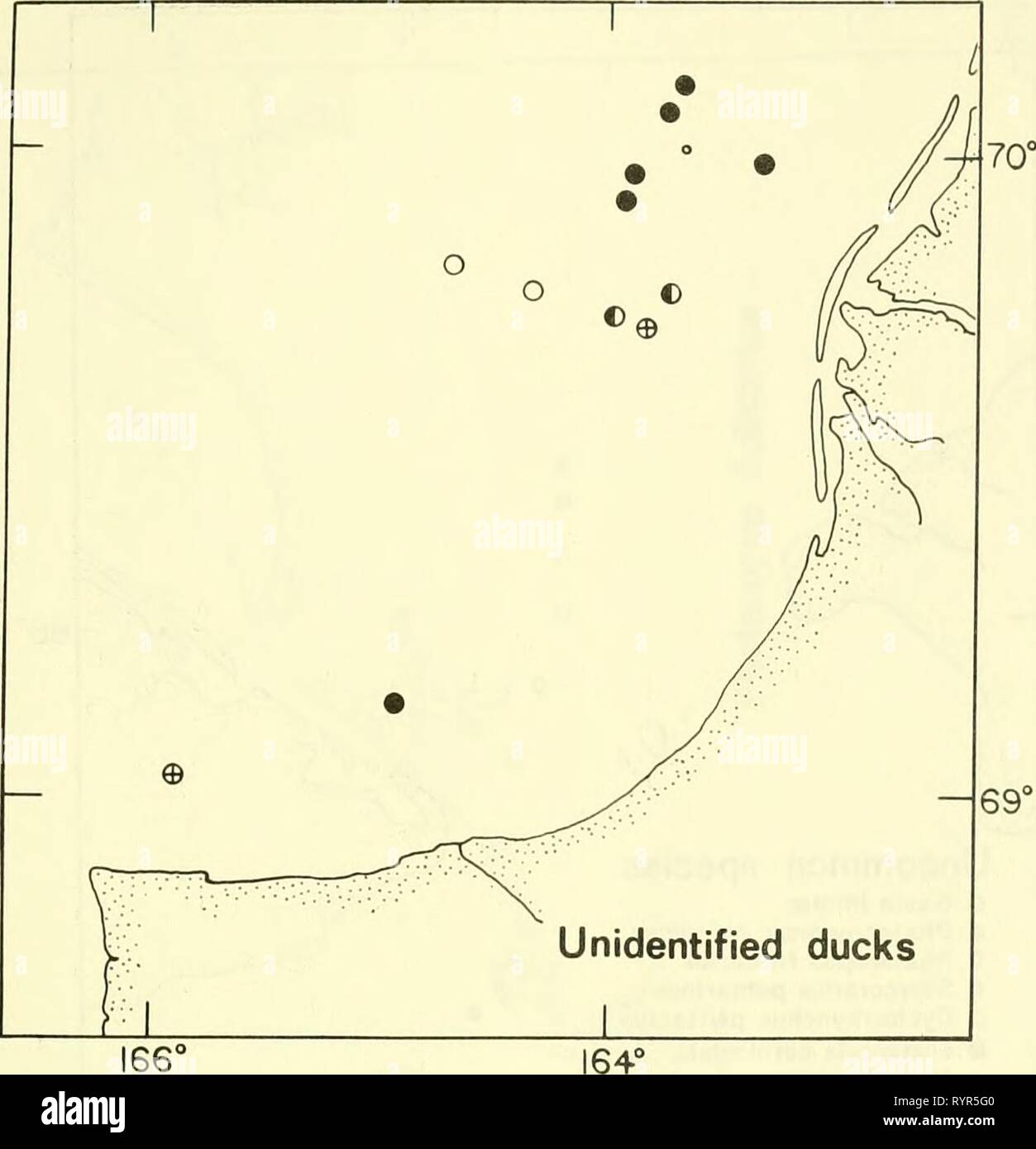 An Ecological survey in the An Ecological survey in the eastern Chukchi Sea : September-October 1970 . ecologicalsurvey00unit Year: 1972  Figure 11.—Distribution of unidentified ducks seen at a distance in the studr area, 22 September-17 October 1970. See also Figures 7, 8 and 14. 139 Stock Photo