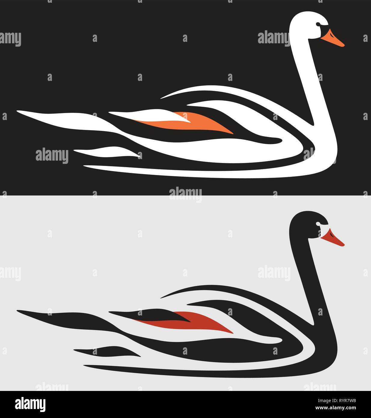 Swan in water Stock Vector Images - Alamy