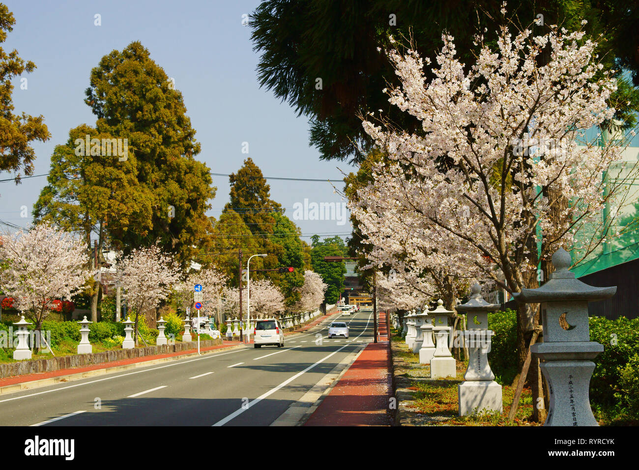 Sando (approach to a shrine) to Kengun Shrine, Kumamoto Prefecture, Japan Stock Photo