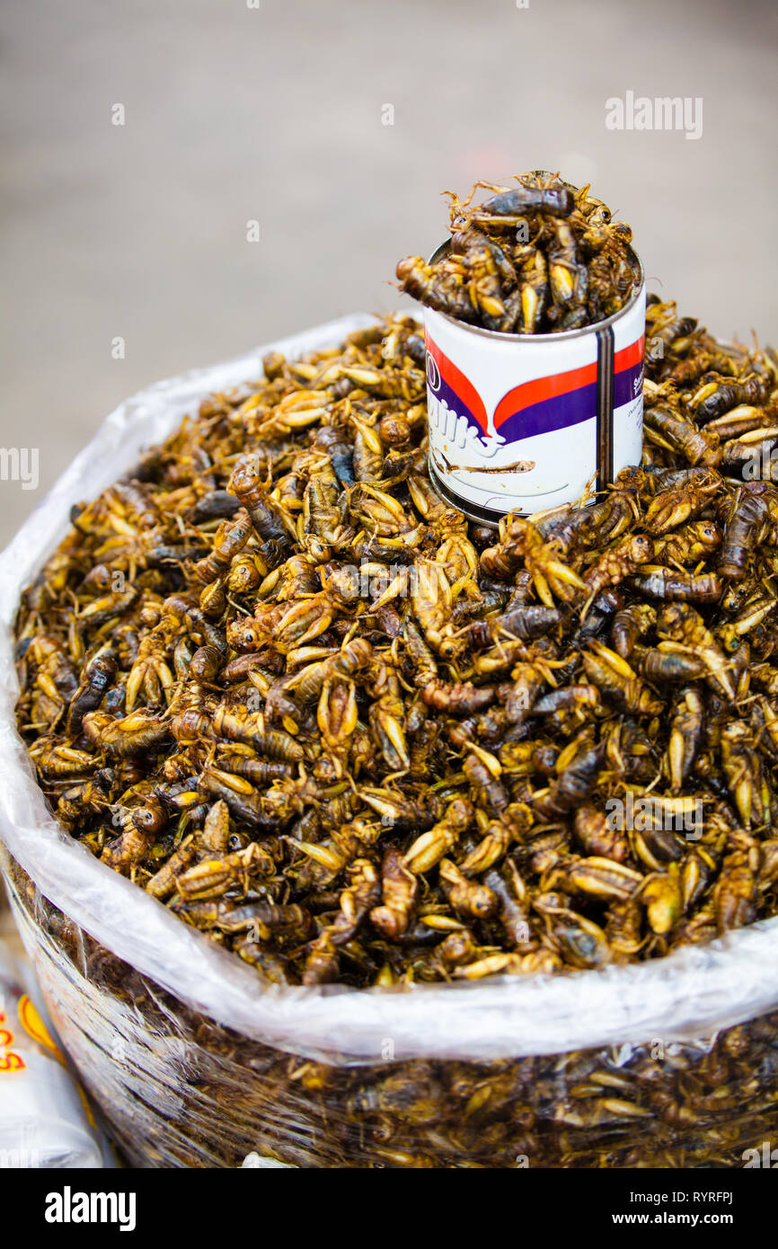 Locusts for sale in 26th street market, Yangon, Myanmar Stock Photo