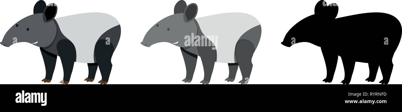 Set of tapir character illustration Stock Vector