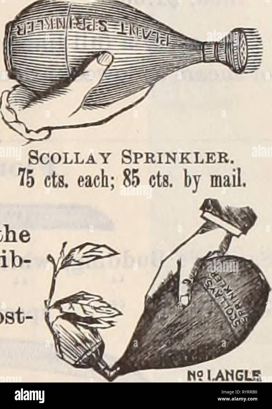 Dreer's wholesale price list  Dreer's wholesale price list / Henry A. Dreer. . dreerswholesalep1898dree Year:   Putty Disteibutor. m9ijvhglb Angular Sprinkler. 75 cts. each; 85 cts. by mail. No. A. 1 stream and spray rose, 12 x 1 in $1 75 'CI ' ' ' ' 14^x1^ ' 2 85 2.1 ' ' 2 roses, 13^ x1t' 3 40 3 1 ' ' 2 ' 18 xli^ ' 4 85 5. 1 ' ' 2 ' 18 xlj ' 5 50 G. 1 ' ' 1 rose, 16 x l| 'With curved neck to use as a knuckle-joint 3 75 ' H. 18 in. long, 1^ in. diameter 1 85 Zinc Syringes, 90 cts.; Zinc, brass finish, $1.10 ; Tin, 75 cts. The Boston Hose Nozzle. This is the best nozzle we have used ; having a Stock Photo