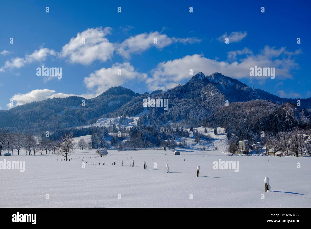 Berg Brauneck in winter, Wegscheid near Lenggries, Prealps, Upper Bavaria Bavaria, Germany Stock Photo