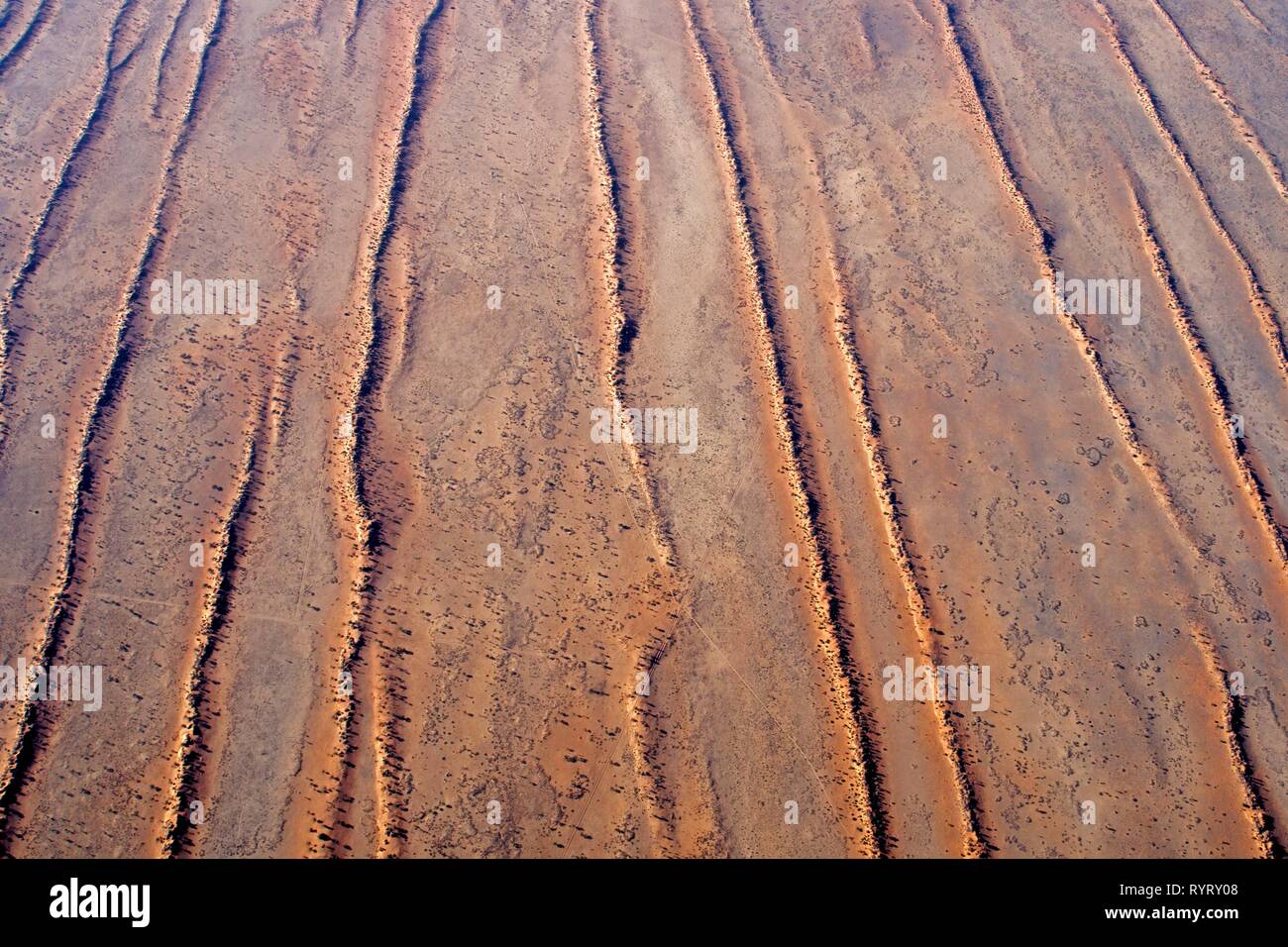 Dune landscape of the Kalahari, Hardap, Namibia Stock Photo