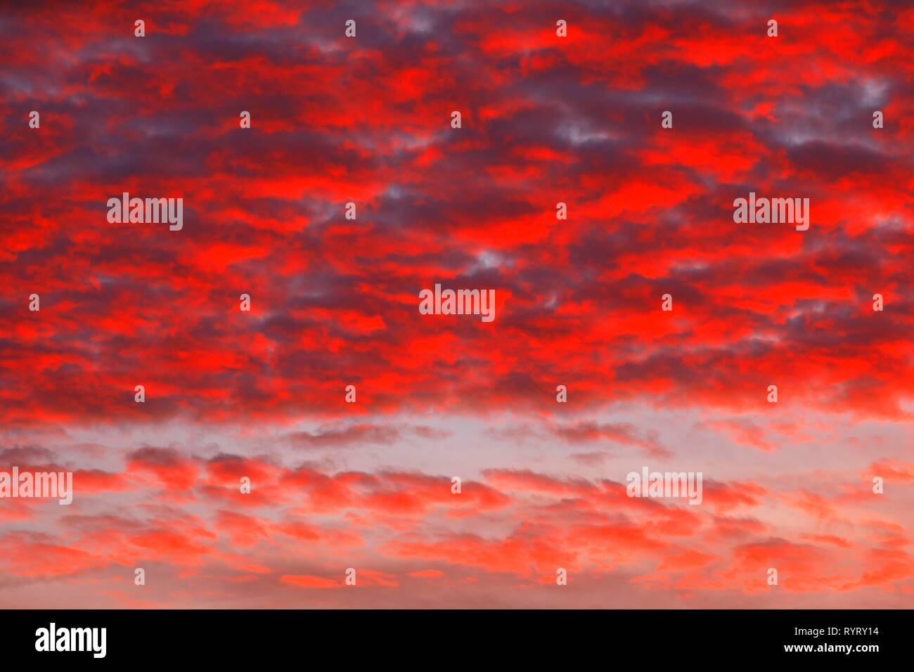 Red cloudy sky at sunset, Schleswig-Holstein, Germany Stock Photo