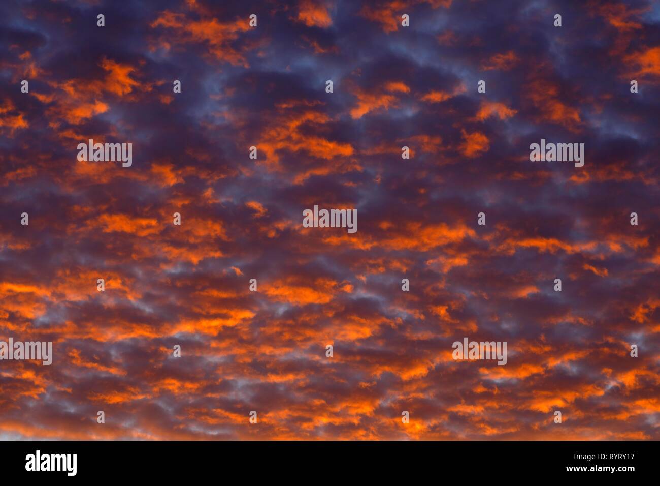 Red cloudy sky at sunset, Schleswig-Holstein, Germany Stock Photo