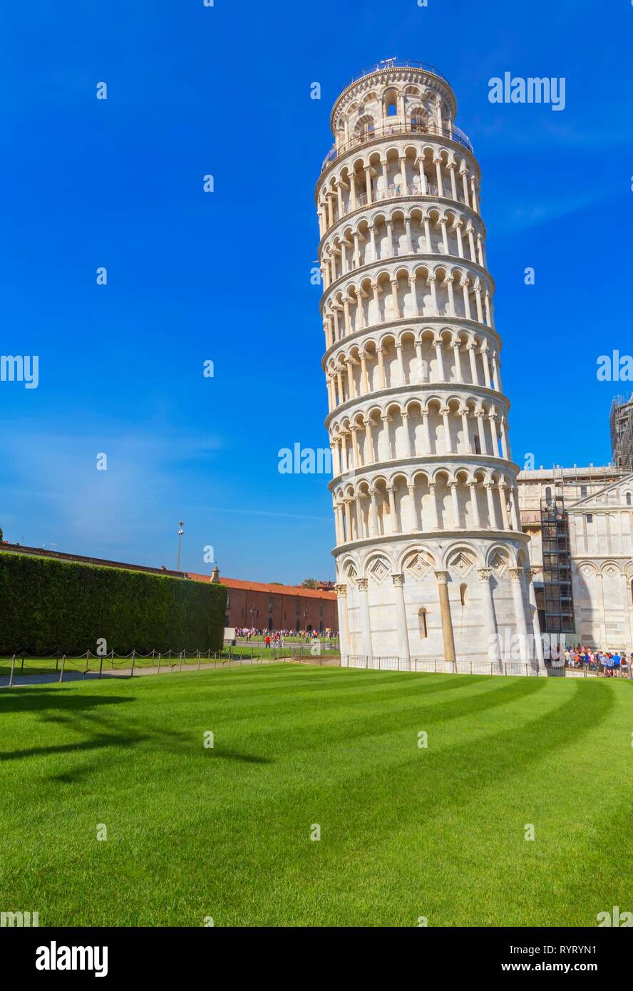 Leaning Tower, Campo dei Miracoli, Pisa, Tuscany, Italy Stock Photo