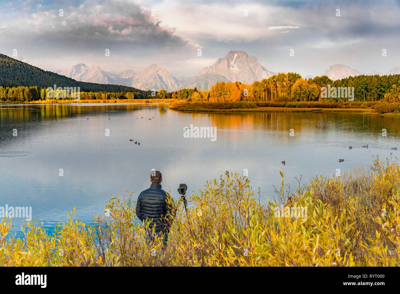 Photographer standing with tripod at the river, Snake River, Mount Moran at the back, morning mood at Oxbow Bend, autumn trees Stock Photo