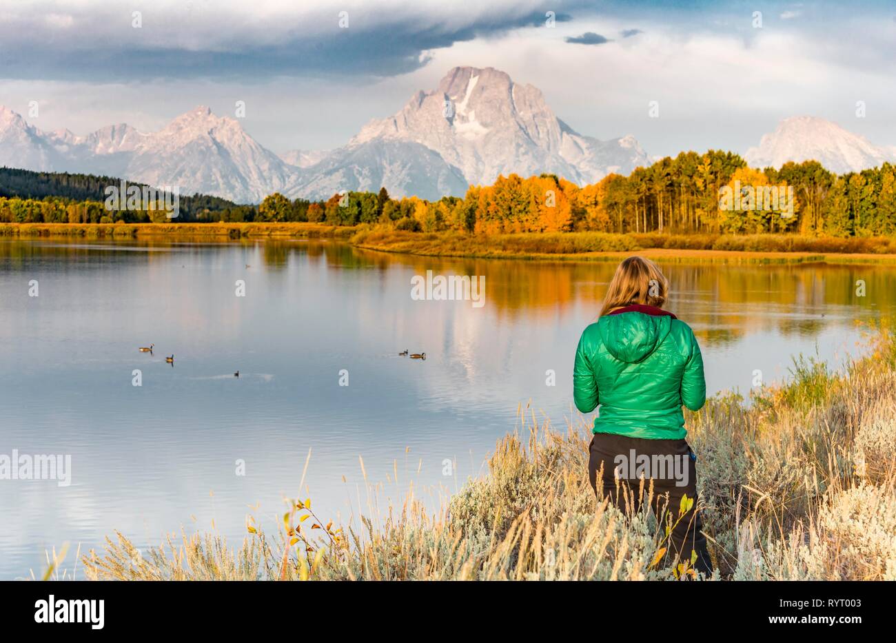 Young woman looking over autumn landscape, Mount Moran reflected in Snake River, morning mood at Oxbow Bend, autumn trees and Stock Photo