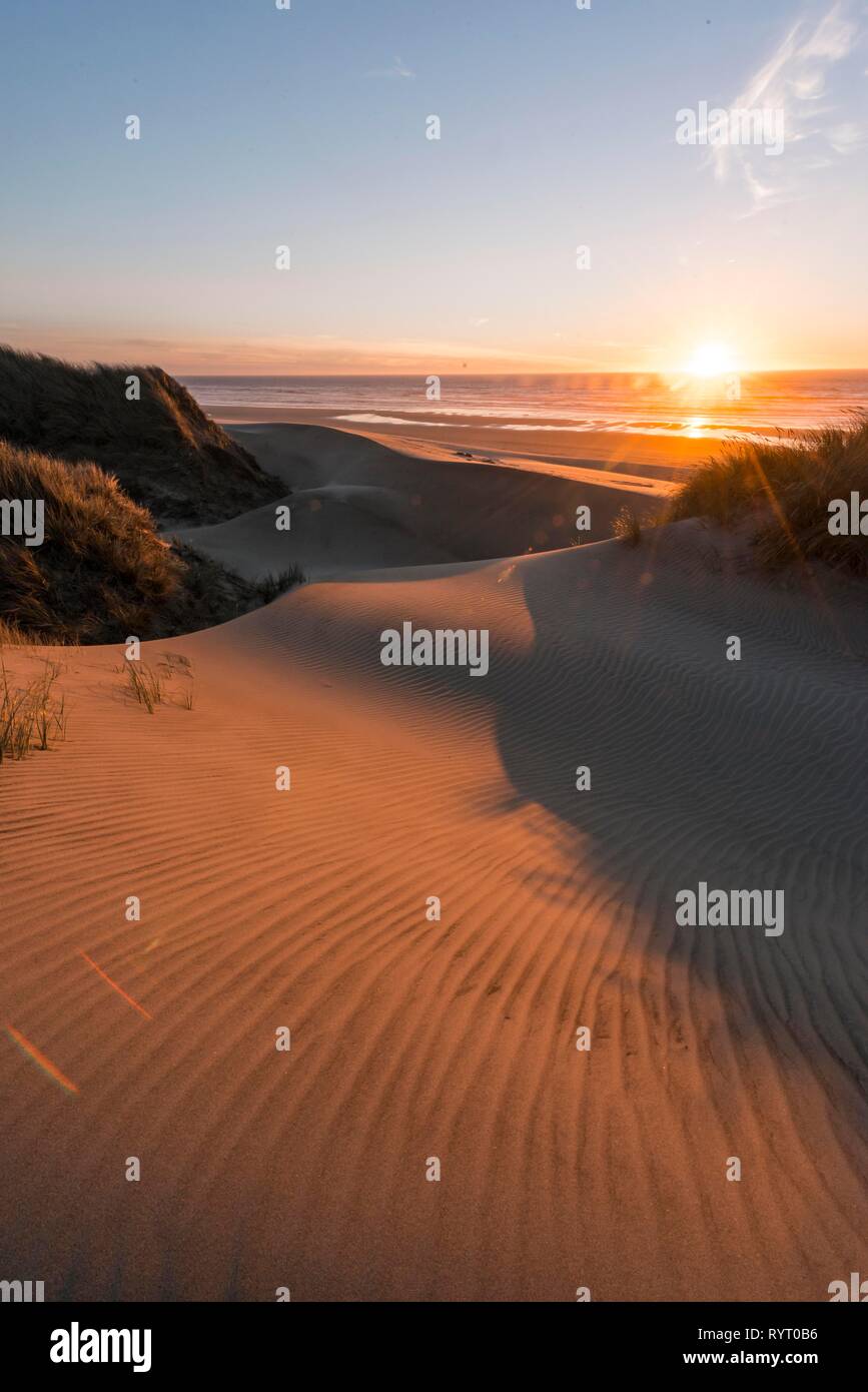 Sunset, sandy beach with sand dunes at the coast, Alder Dune, Baker Beach, viewpoint Holman Vista, Oregon, USA Stock Photo