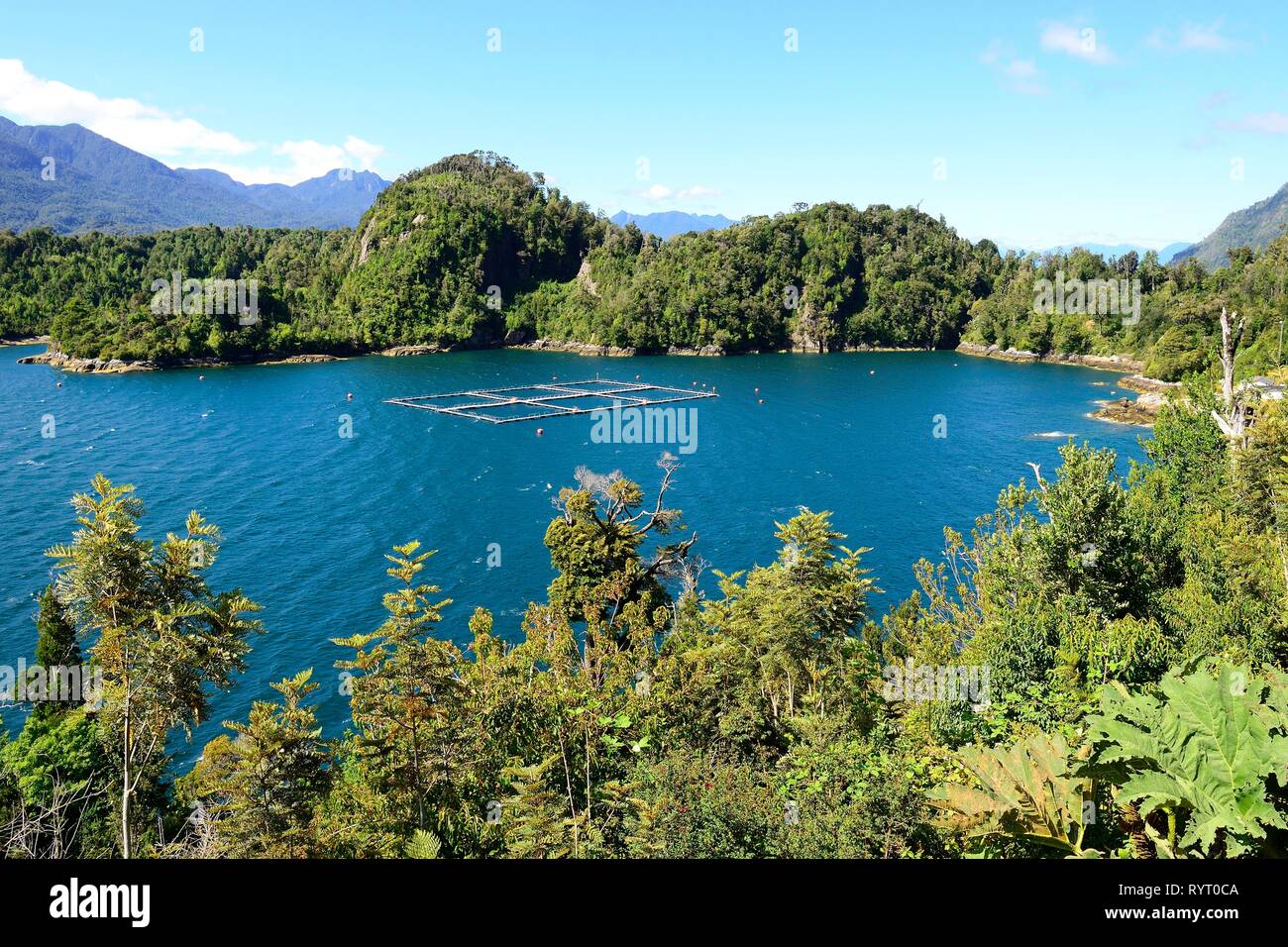 Fish farming in the Reloncavi Fjord, near Puelo, Llanquihue Province, Chile Stock Photo