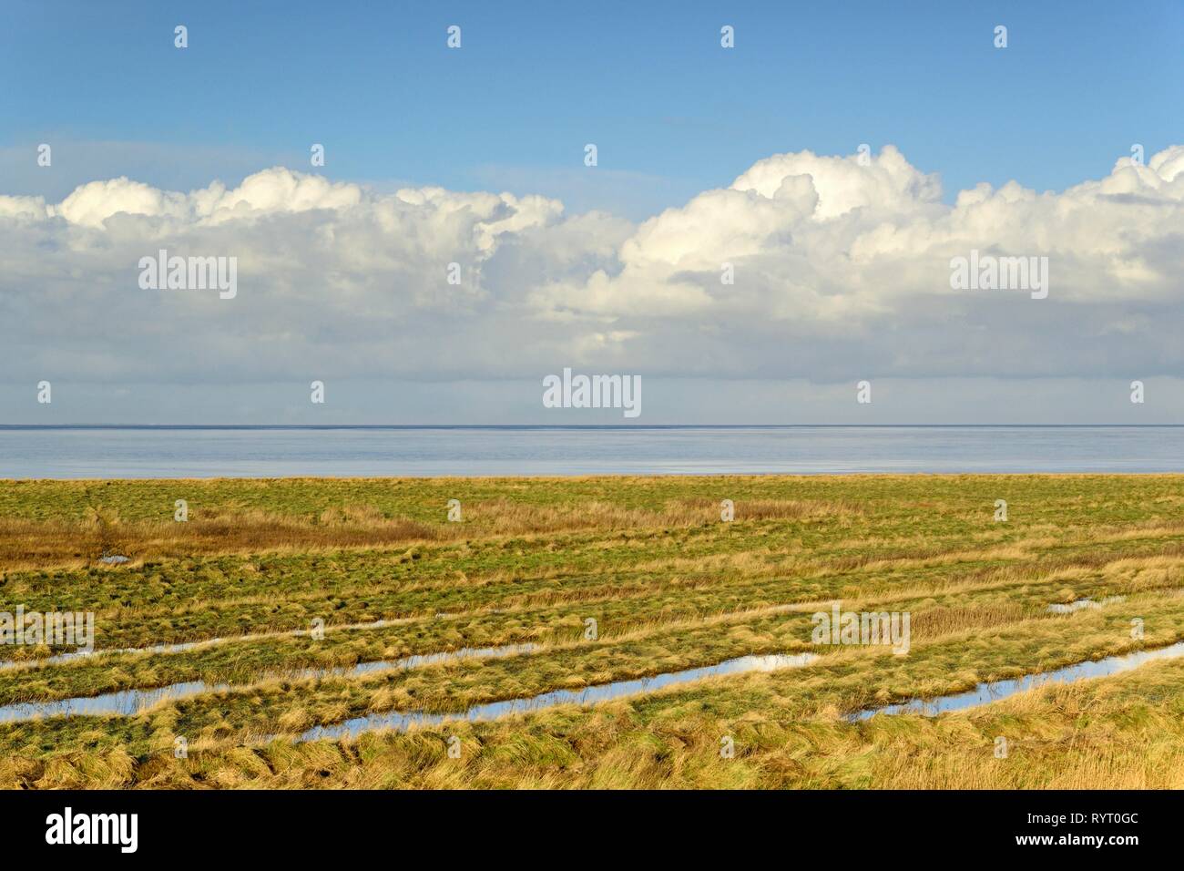 View over the Wadden Sea with salt marshes and deep clouds, Pilsum, North Sea, Lower Saxony, Germany Stock Photo