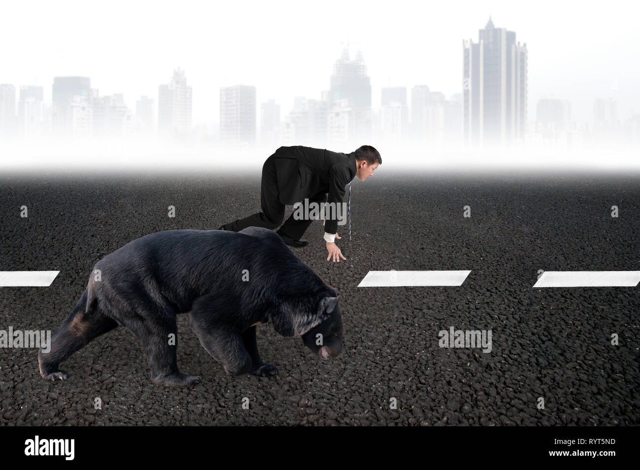 Businessman and black bear are ready to race on asphalt road white line with gray urban scene skyline background. Stock Photo