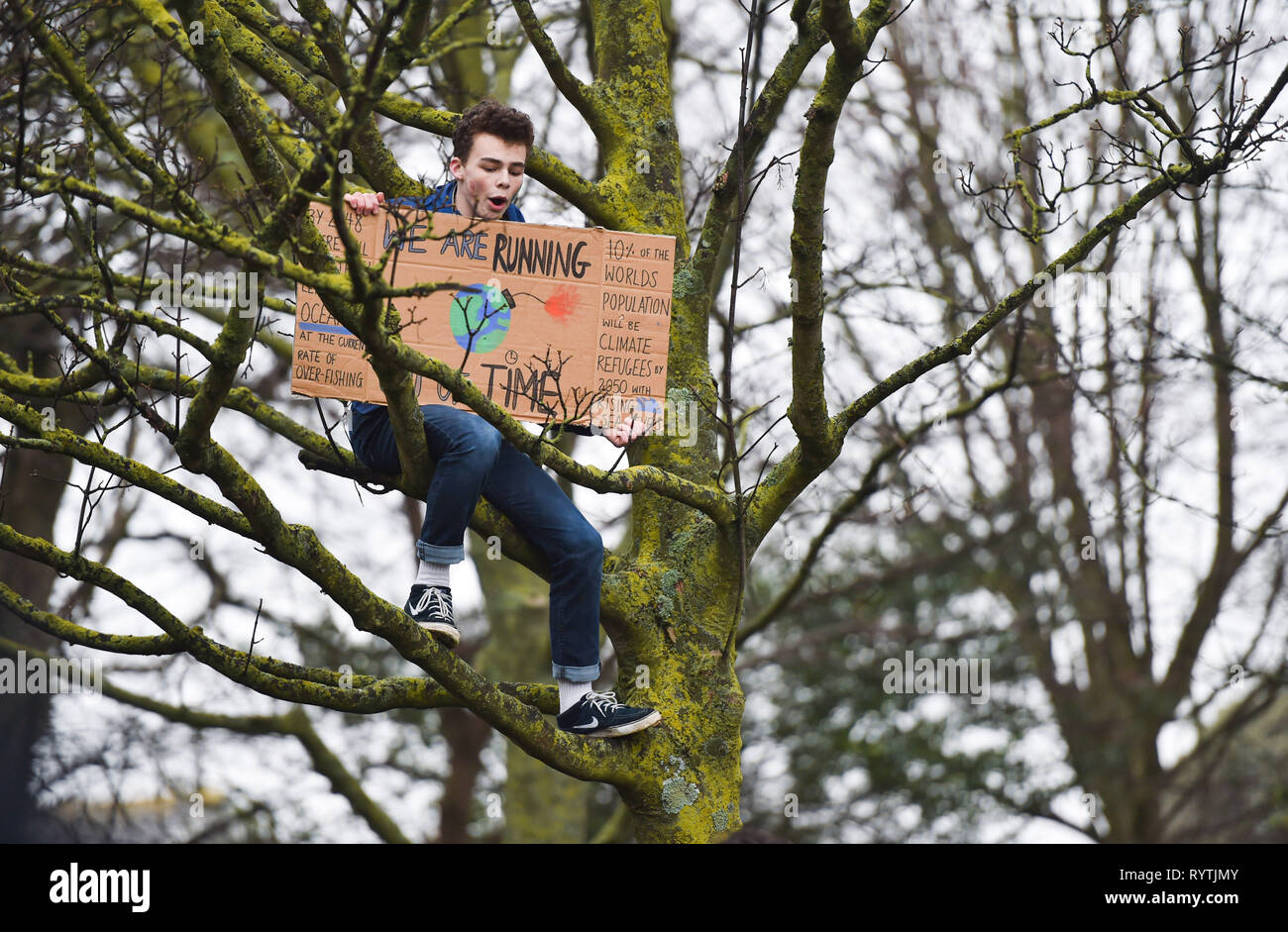 Brighton, UK. 15th Mar, 2019. A student climbs a tree to make a point as thousands of students schoolchildren and parents march through Brighton as they take part in the second Youth Strike 4 Climate protest today as part of a co-ordinated day of global action. Thousands of students and schoolchildren are set to go on strike at 11am today as part of a global youth action protest over climate change Credit: Simon Dack/Alamy Live News Stock Photo
