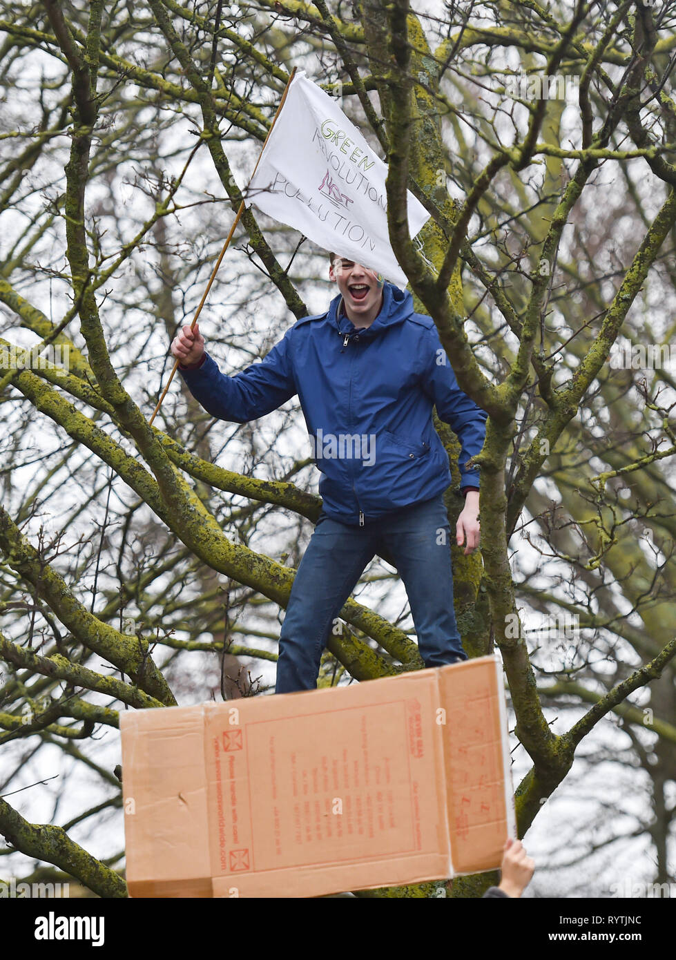 Brighton, UK. 15th Mar, 2019. A student climbs a tree to make a point as thousands of students schoolchildren and parents march through Brighton as they take part in the second Youth Strike 4 Climate protest today as part of a co-ordinated day of global action. Thousands of students and schoolchildren are set to go on strike at 11am today as part of a global youth action protest over climate change Credit: Simon Dack/Alamy Live News Stock Photo