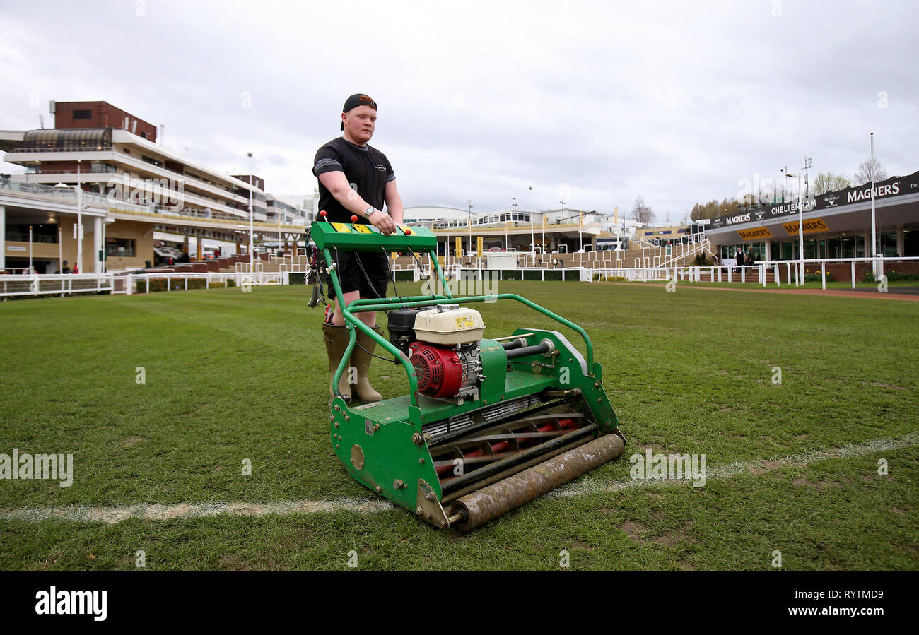 A groundsman cuts grass before Gold Cup Day of the 2019 Cheltenham Festival at Cheltenham Racecourse. Stock Photo