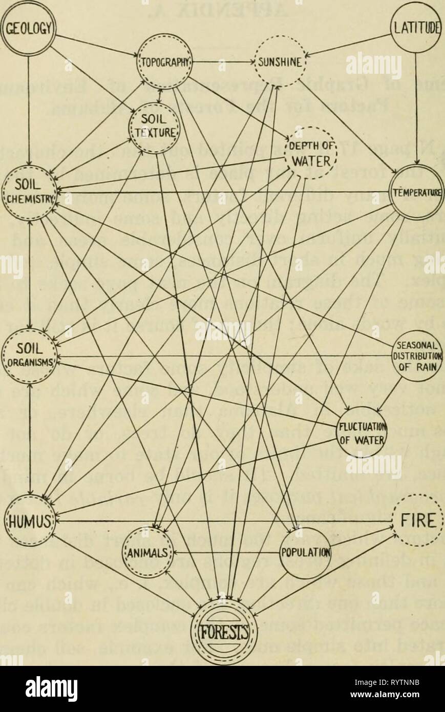 Economic botany of Alabama (1913-1928) Economic botany of Alabama . economicbotanyof12harp Year: 1913-1928.  186 ECONOMIC BOTANY OF ALABAMA. ENVfRONMENTTAL FACTORS FOR ALABAMA FORESTS    R.M.H 1313 Diagram showing relations of the most important environmental factors in Alabama to the forests and to each other. 'Soil organisms' means all plants and animals, from bacteria and fungi to moles and salamanders, which live underground or in humus and have some influence on the soil. 'Animals' means those which travel above ground and carry seeds or pollen, or feed on plants. 'Population' refers prim Stock Photo