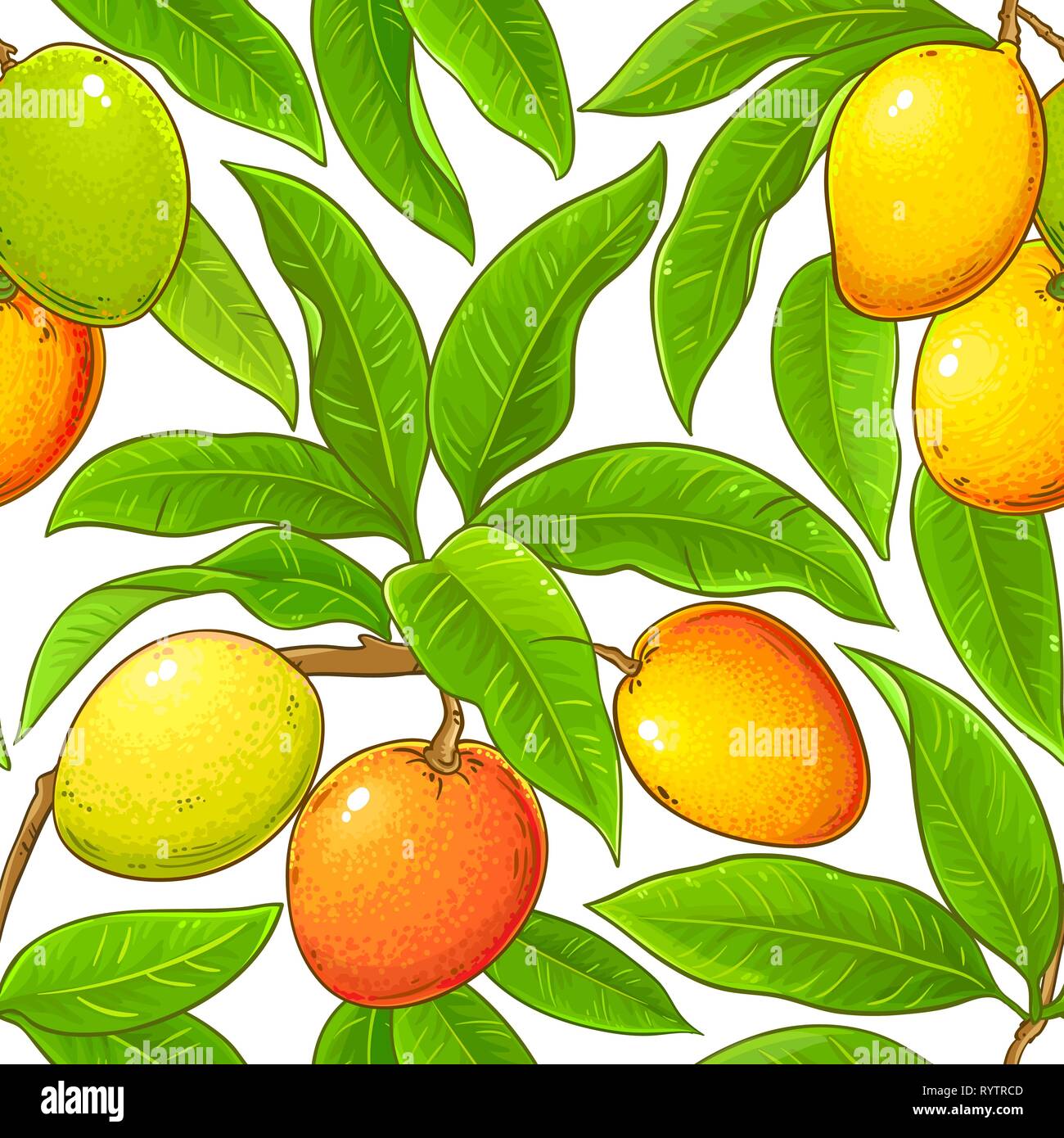 mango vector pattern on white background Stock Vector