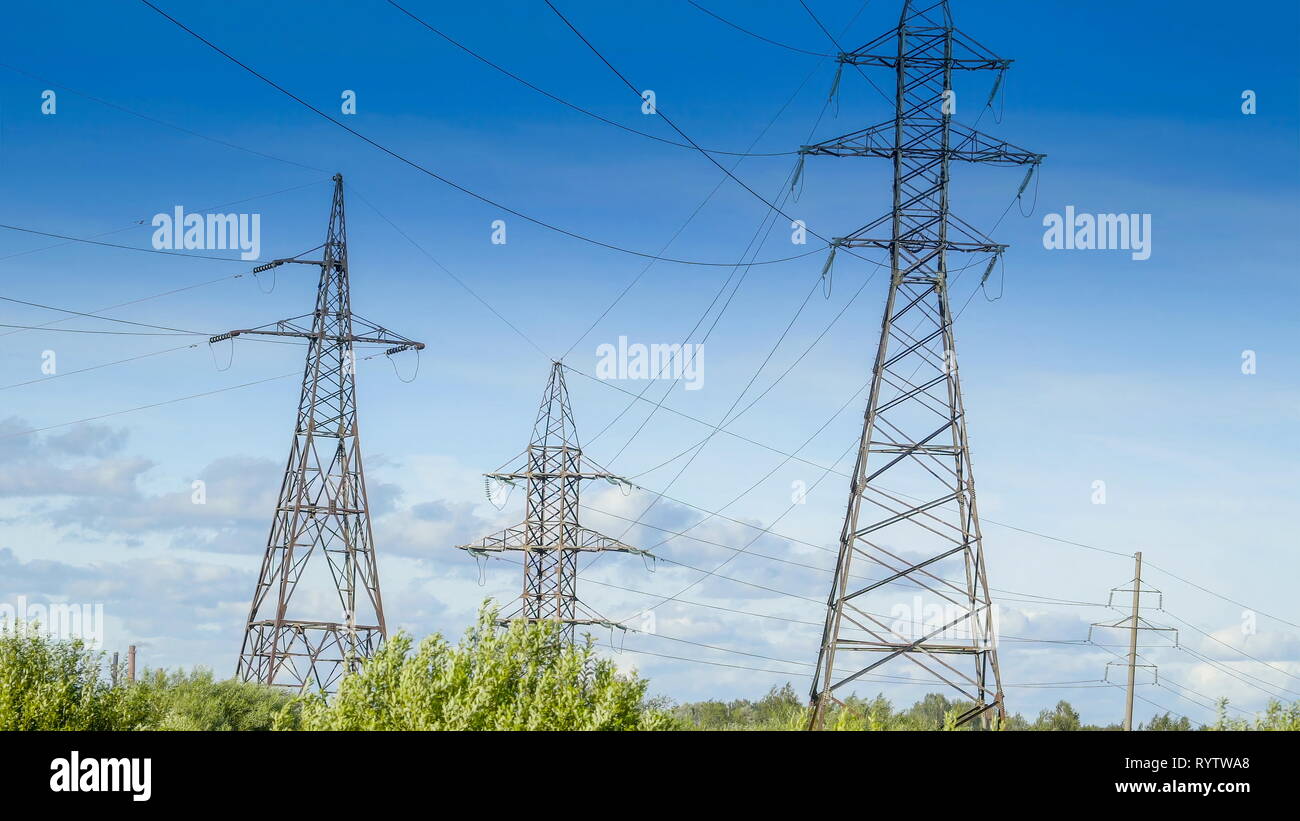 Tall cellular towers on the road side with trees covering it seen when