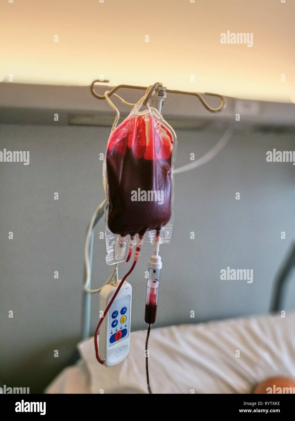 O Positive Packed Cells Blood Bag High-Res Stock Photo - Getty Images