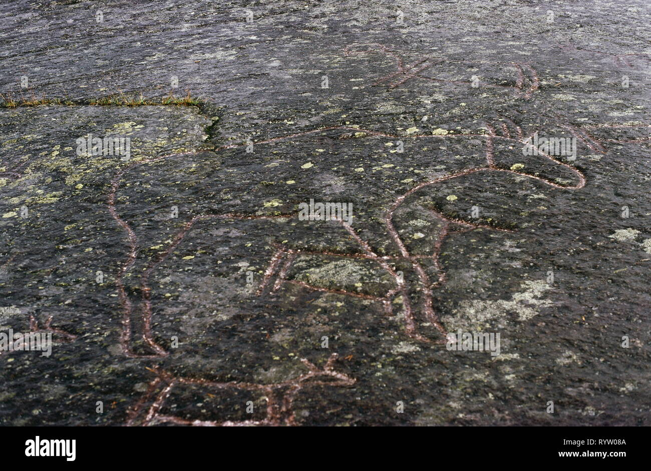 prehistory, rock drawing, Langfjord, Norway, 2500 - 3000 years old, Additional-Rights-Clearance-Info-Not-Available Stock Photo
