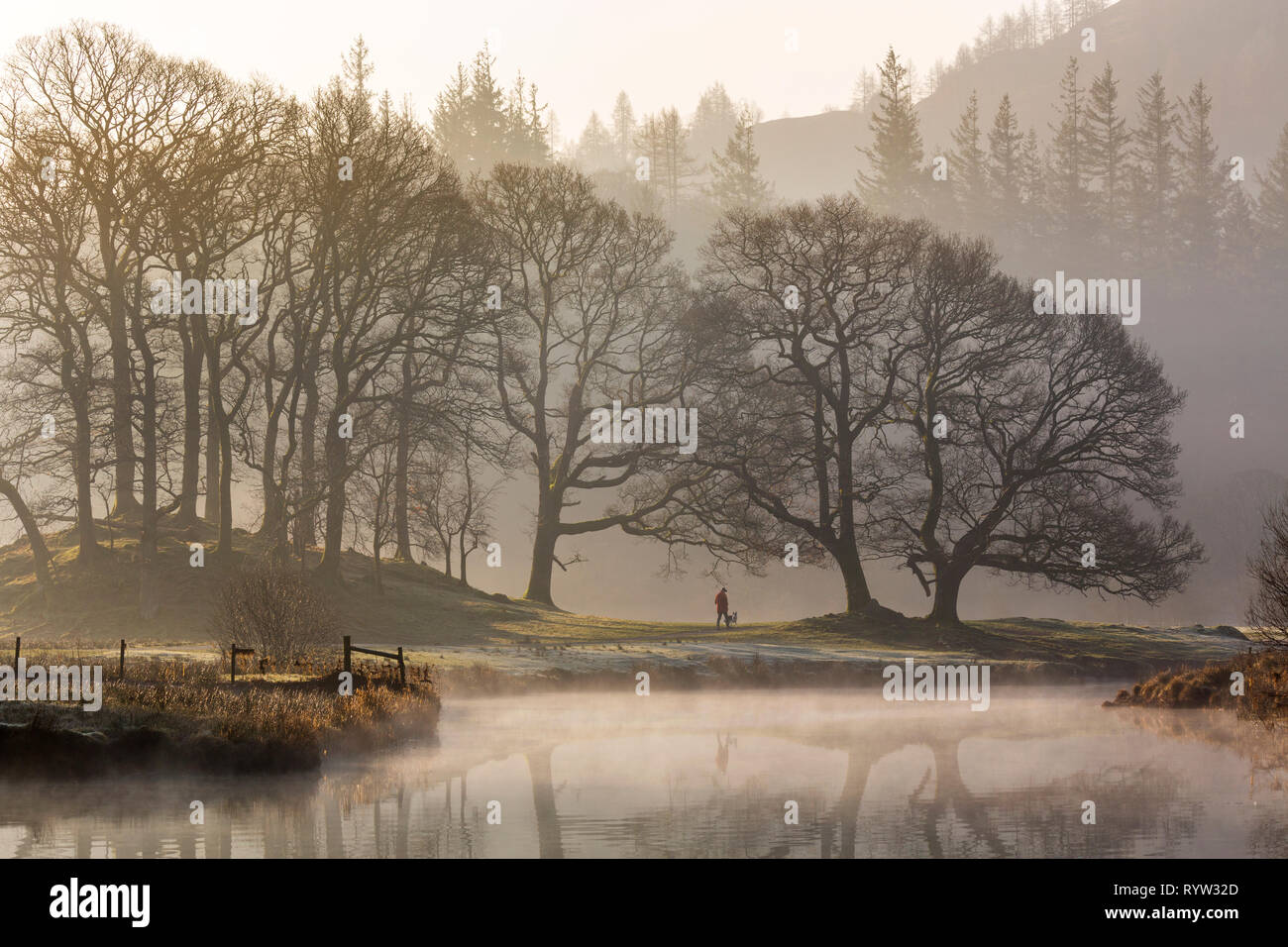 River Brathay near Elterwater Langdale valley Lake District Stock Photo