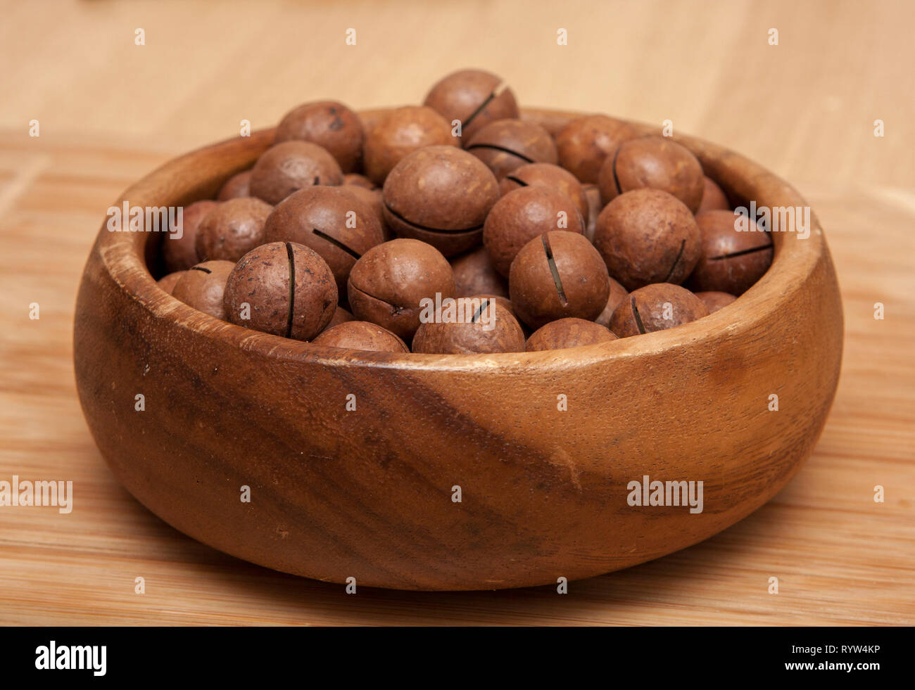 Macadamia nuts - Macadamia integrifolia Stock Photo