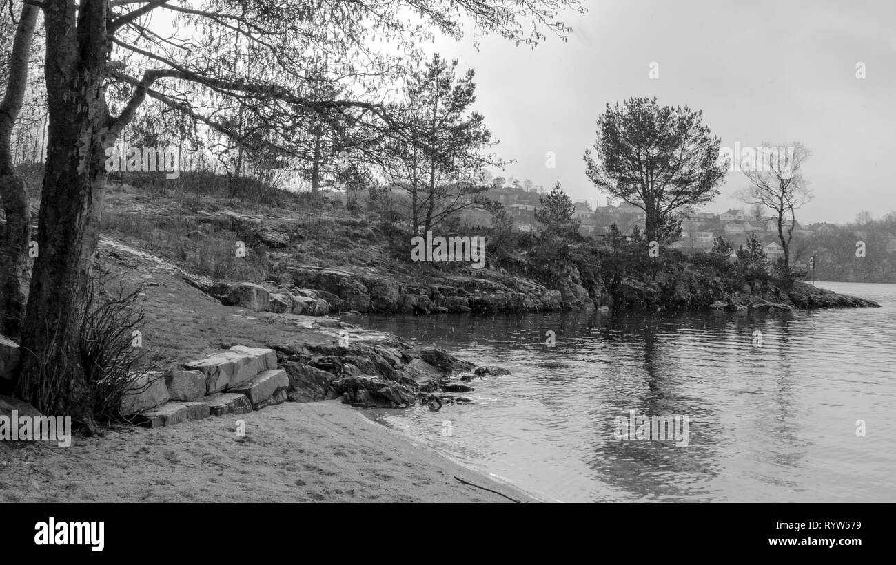 Sandy beach shot with some rocks and trees in beautiful winter day with snowflake. Stock Photo