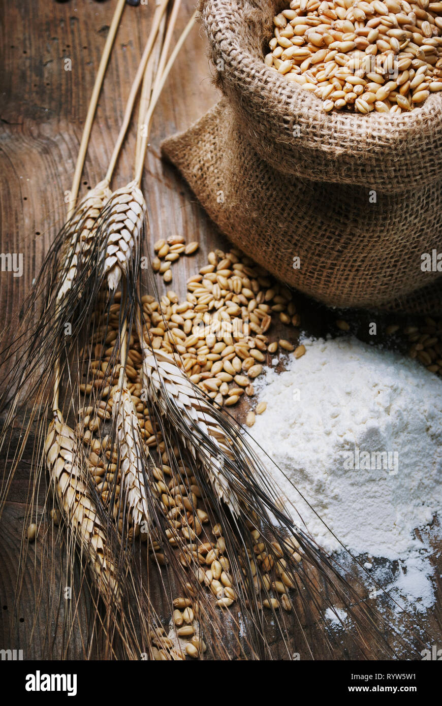 Vintage still life with organic flour, whole wheat grain in retro bag and wheat ears on rustic wooden table. Stock Photo
