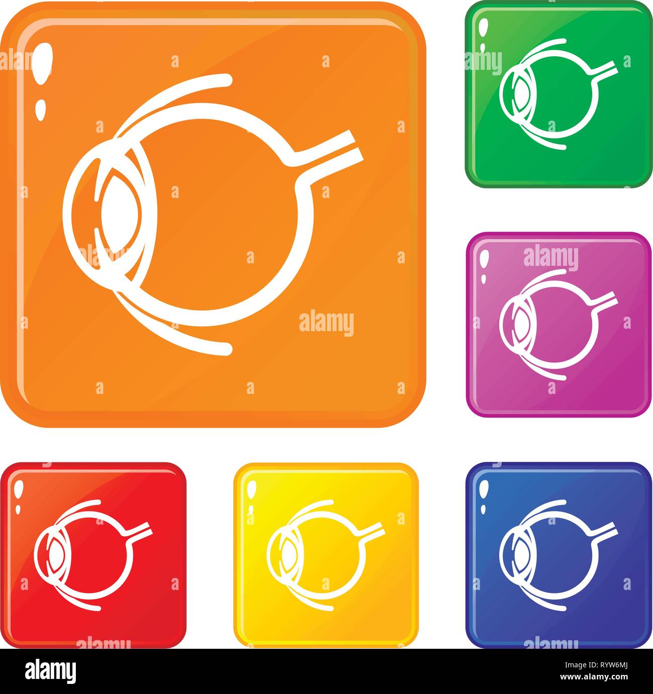 Anatomy of eye icons set vector color Stock Vector Image & Art Alamy