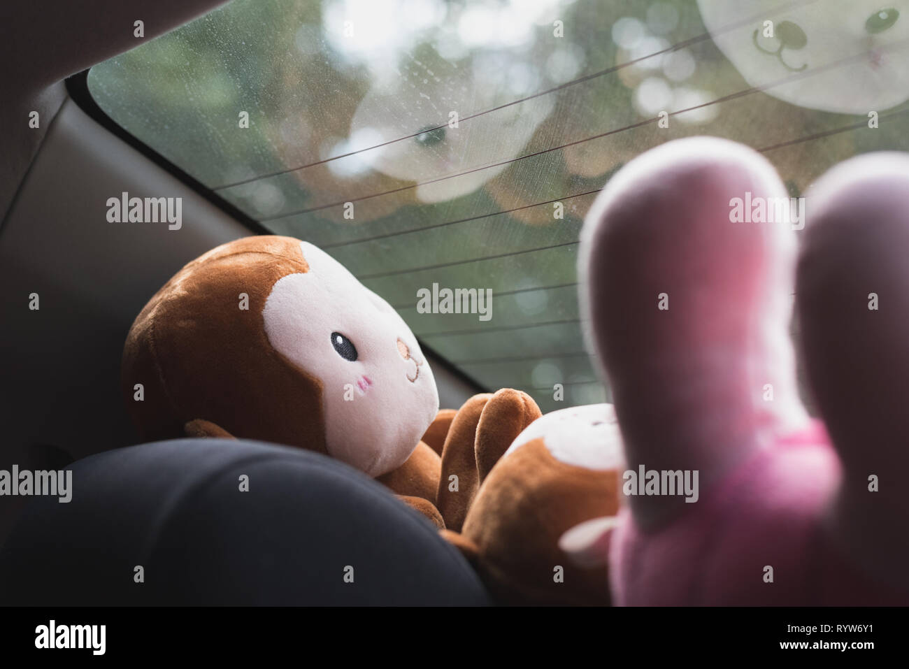 Plush toys in front of the rear window of a car. Reflections of the smiling toy muzzle. The concept of a car trip with children. Stock Photo
