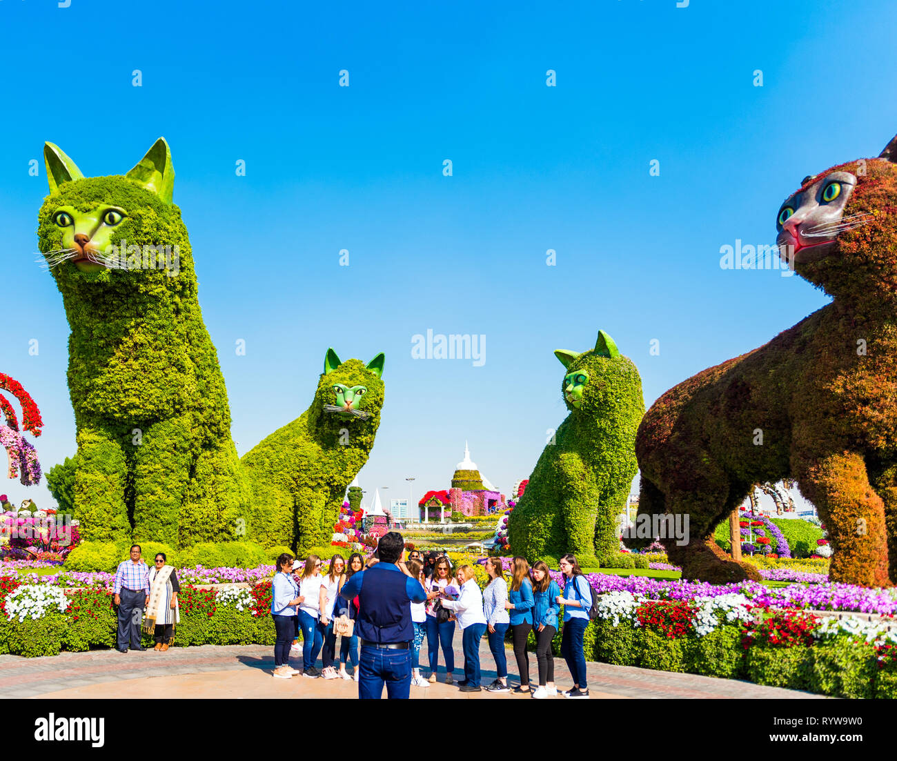 DUBAI, UNITED ARAB EMIRATES DECEMBER 13, 2018 Sculptures of cats in